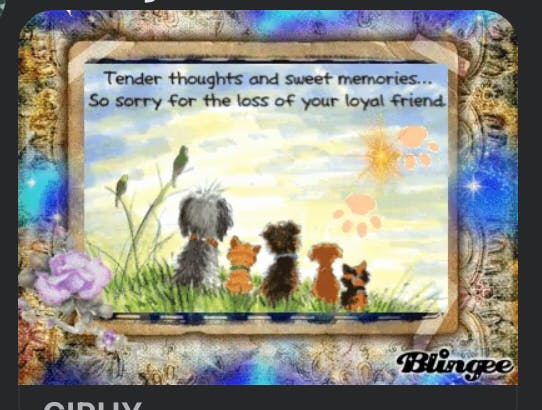 user avatar image for MsBehavin 