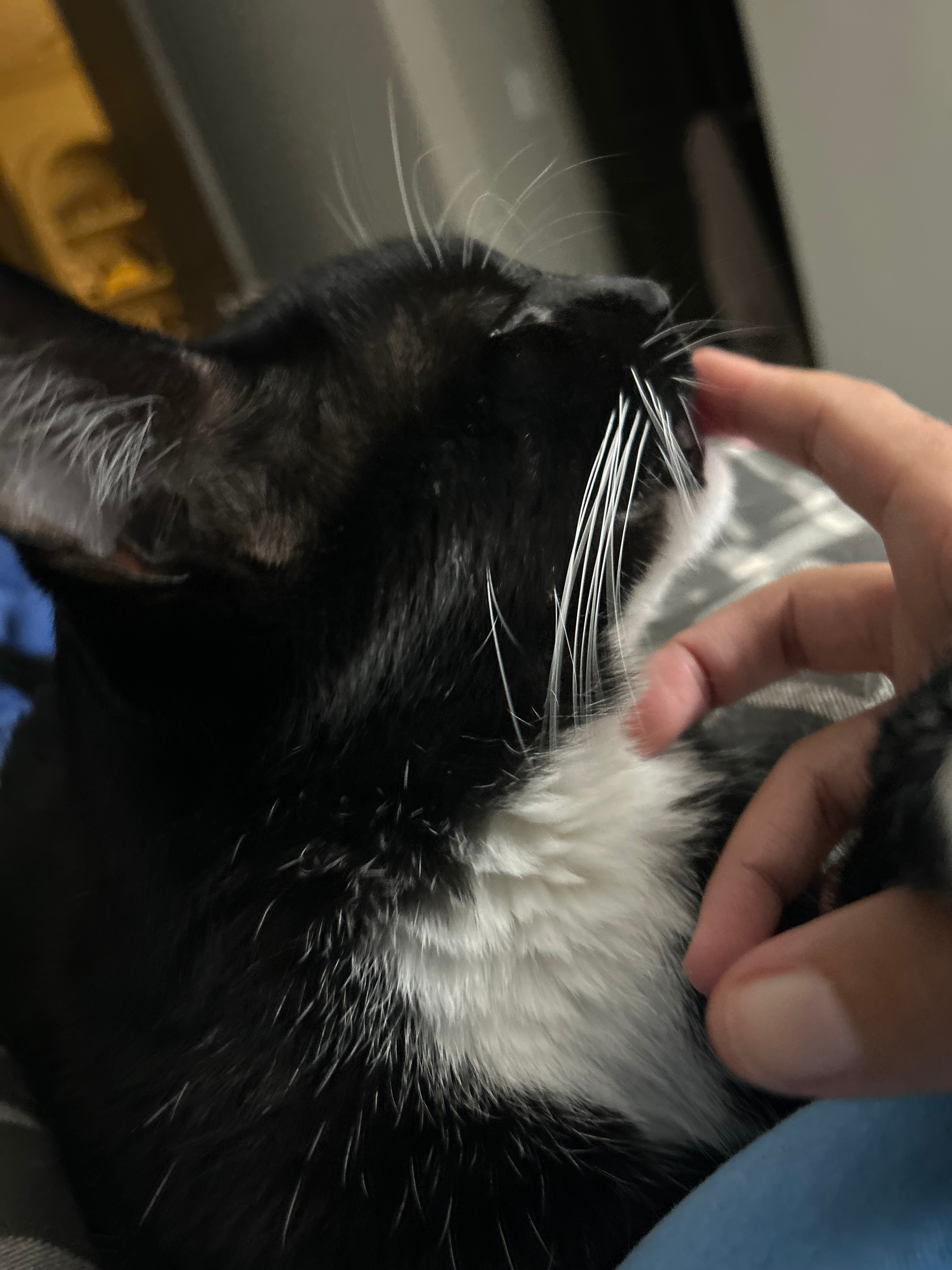 user avatar image for Taryn McCoy