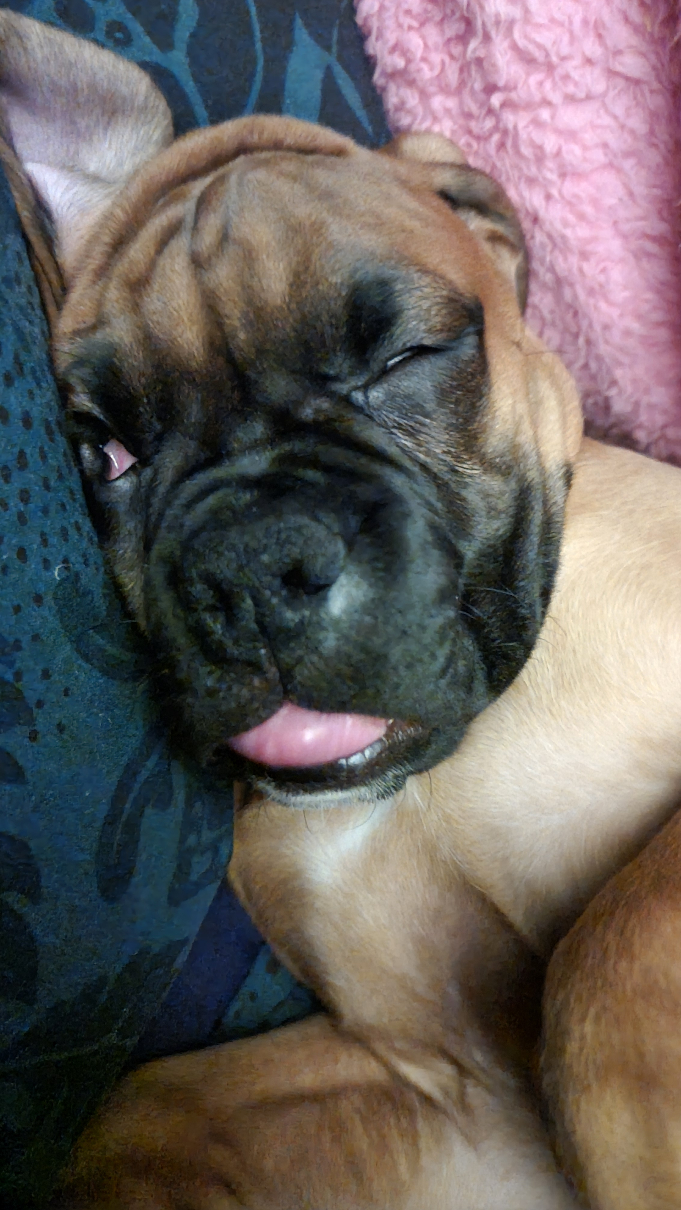 user avatar image for James Bates