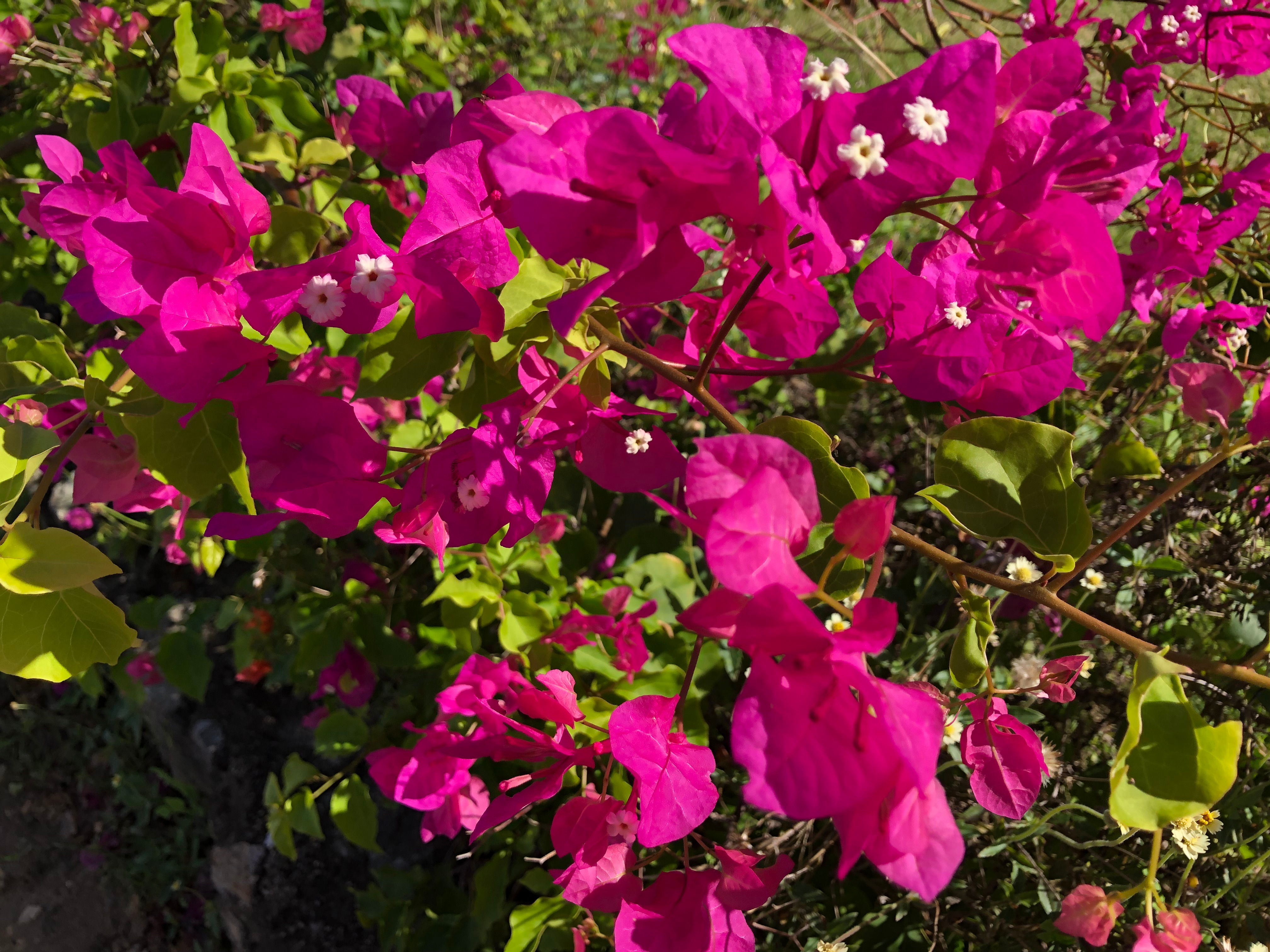 user avatar image for Linda Watson