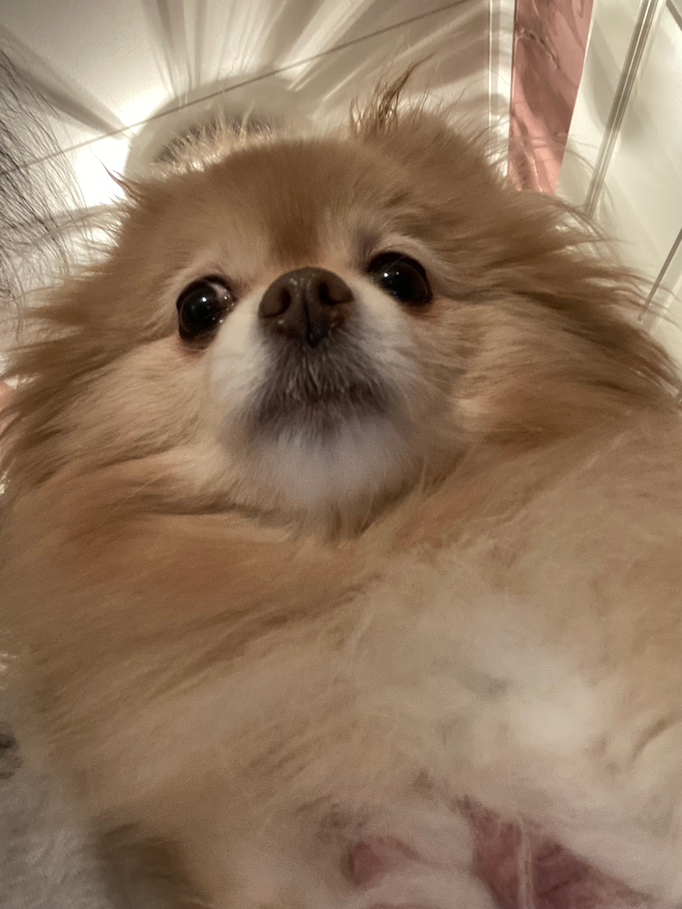 user avatar image for Niveda 