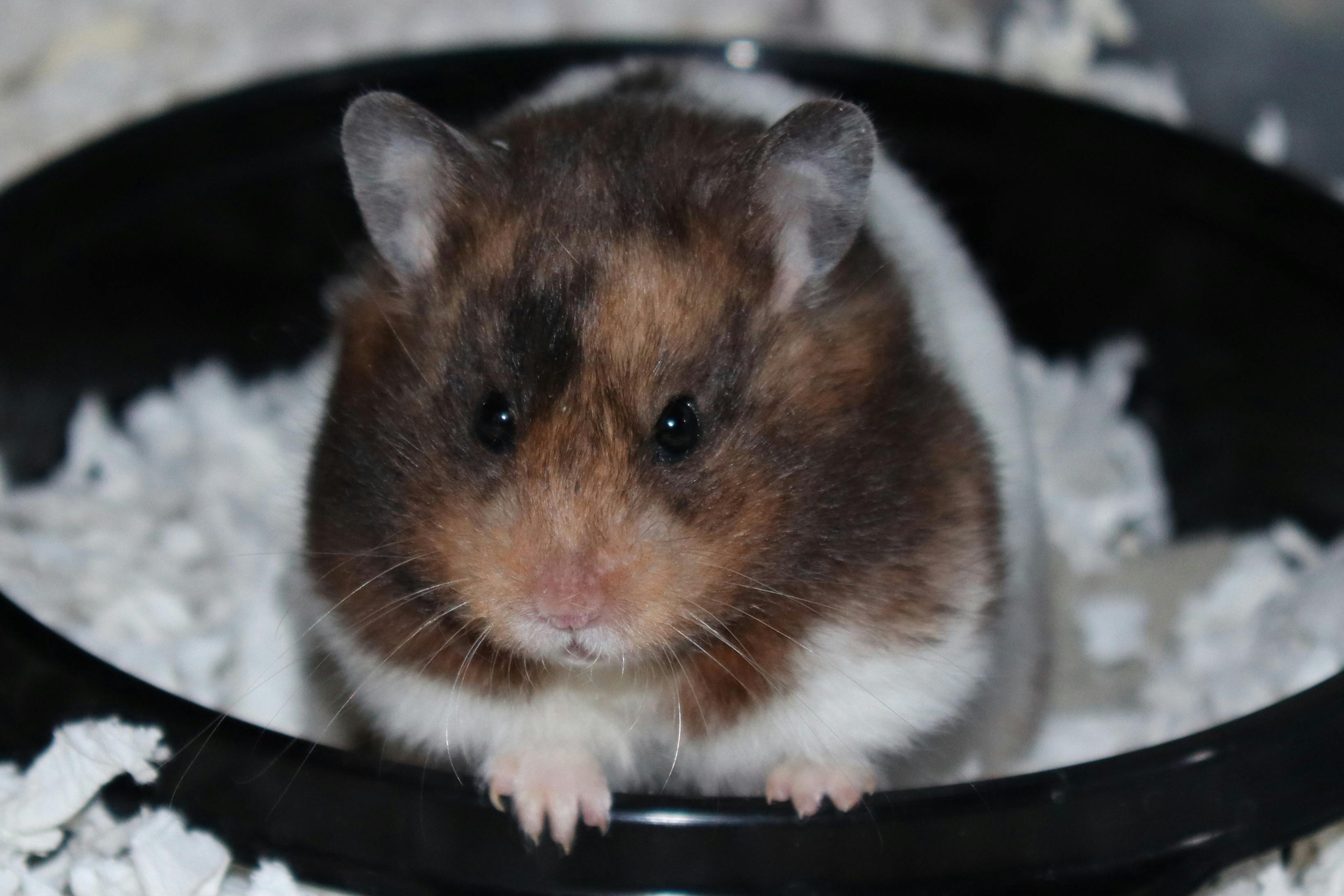 user avatar image for Stephanie LaBerge