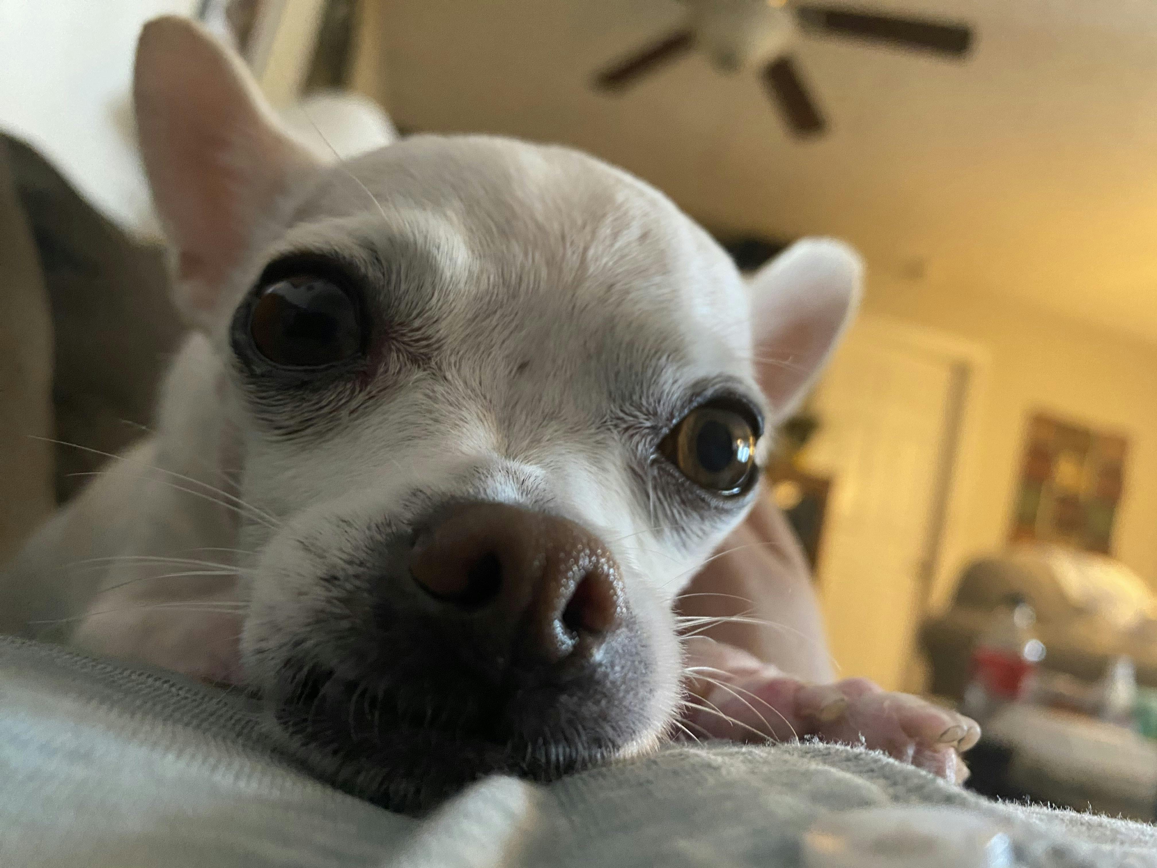 user avatar image for Arren Ramos