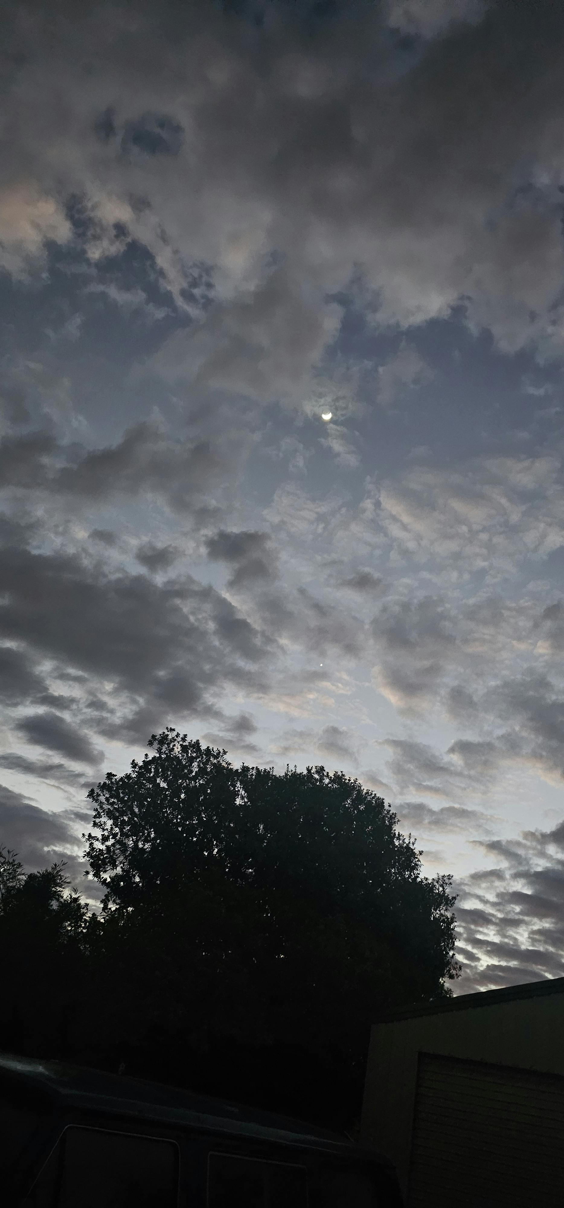 user avatar image for Claire Bemelmans