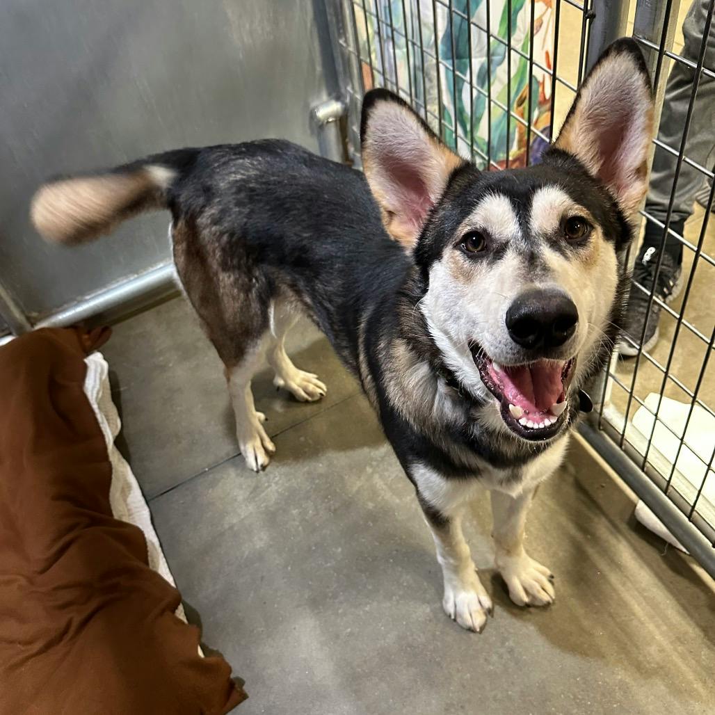 user avatar image for Sam Harrison