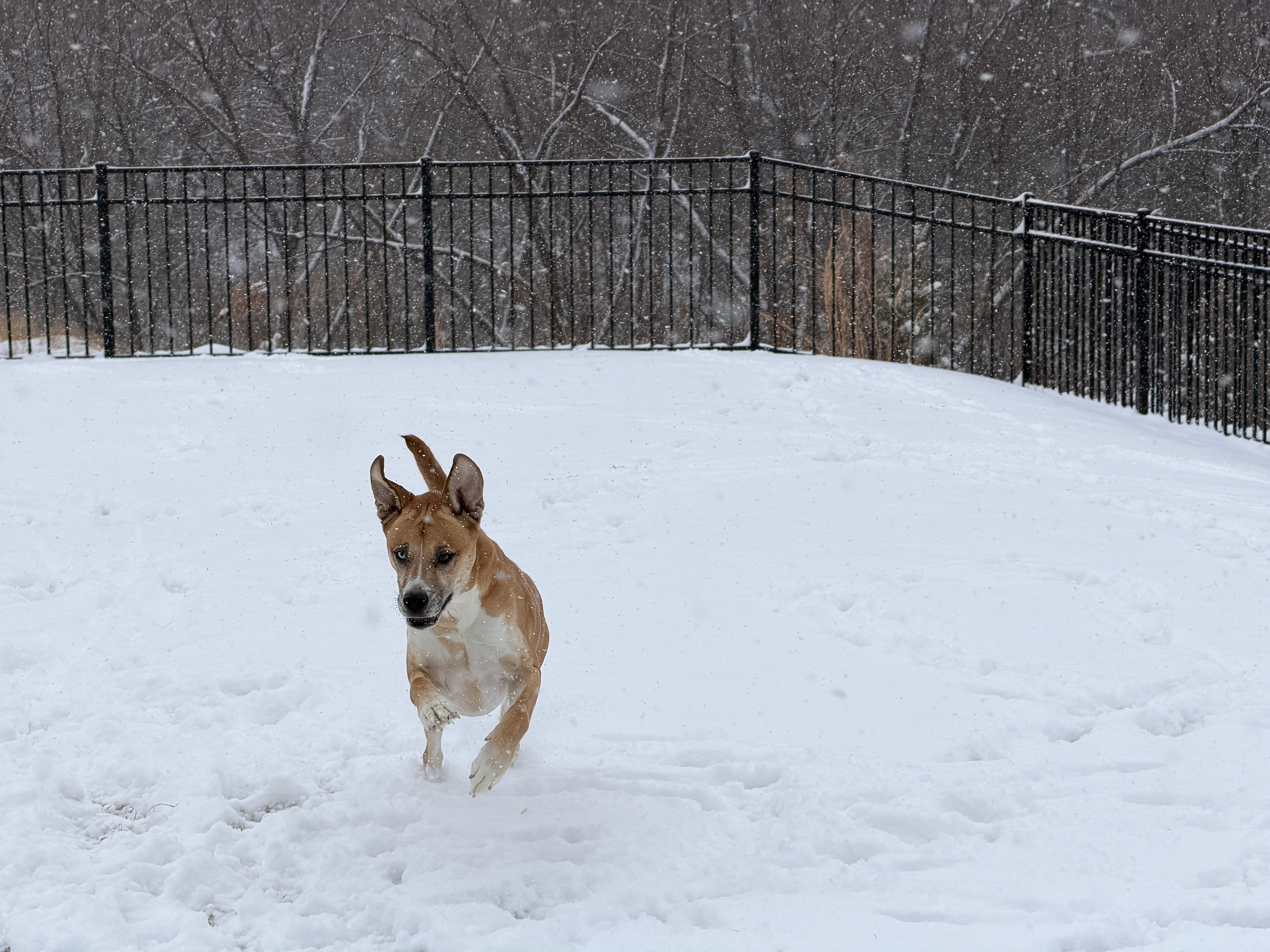 user avatar image for Wrenn Taylor