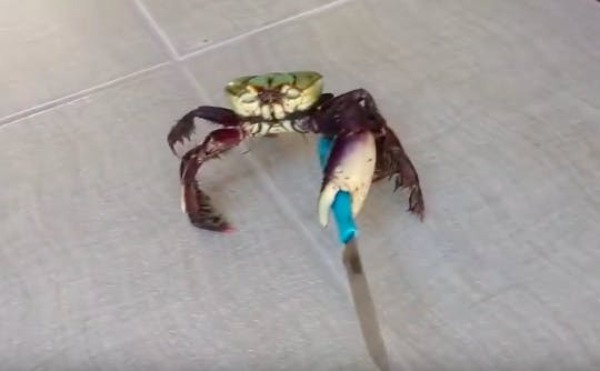 user avatar image for Chris Wilson