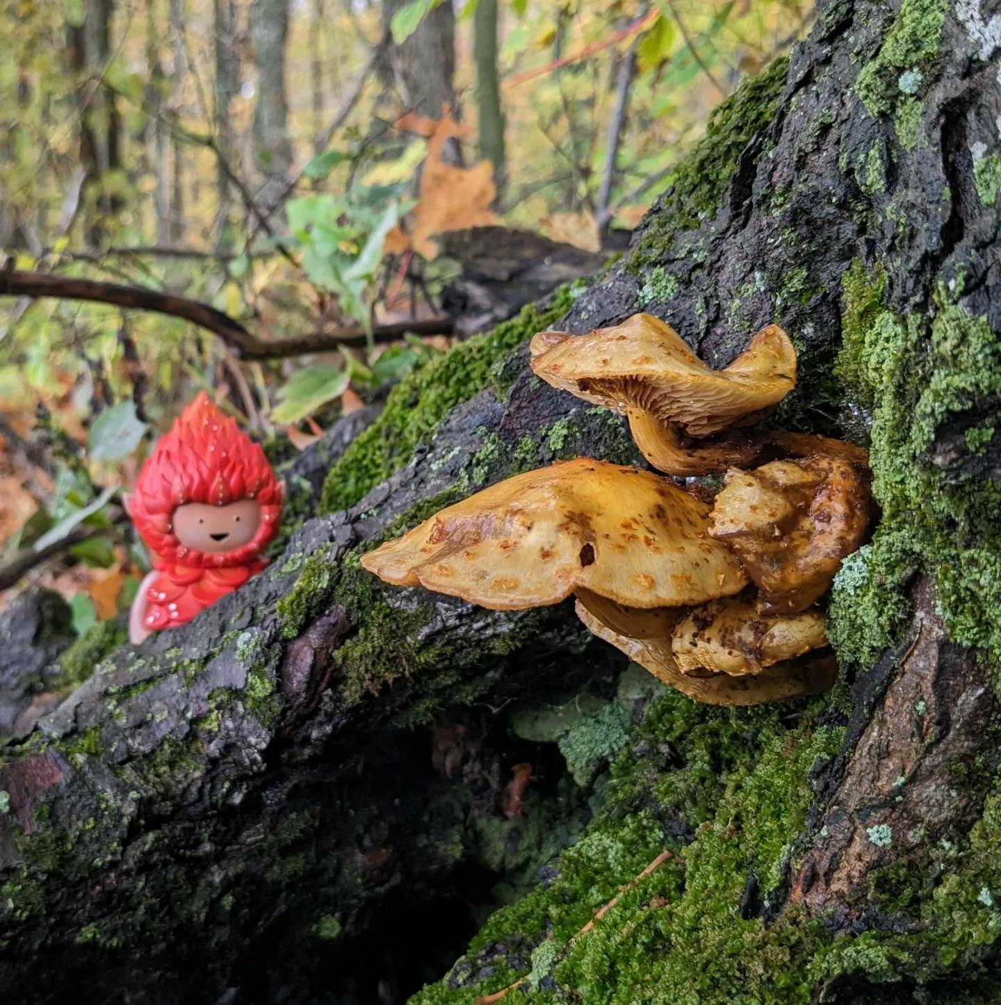 user avatar image for Blue