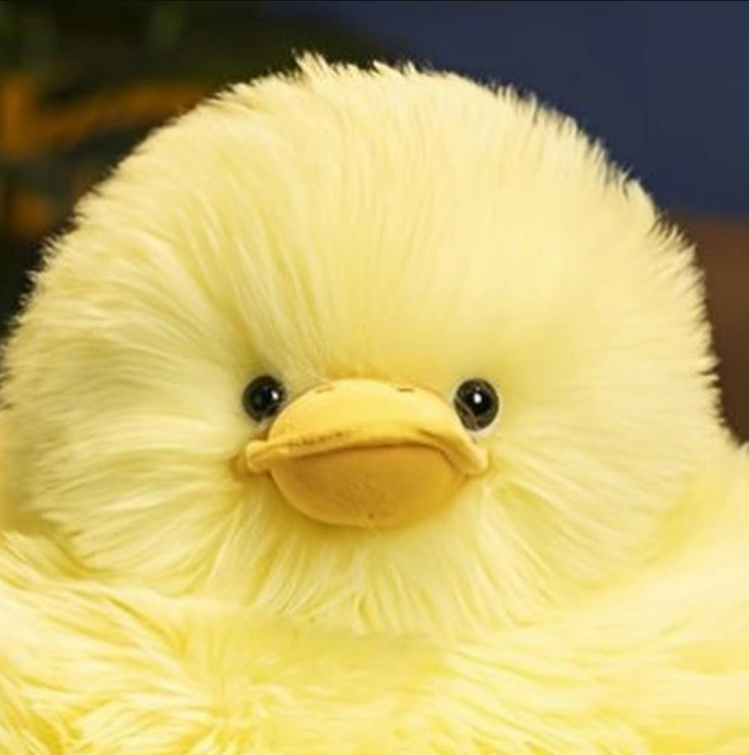 user avatar image for Samantha Lucas