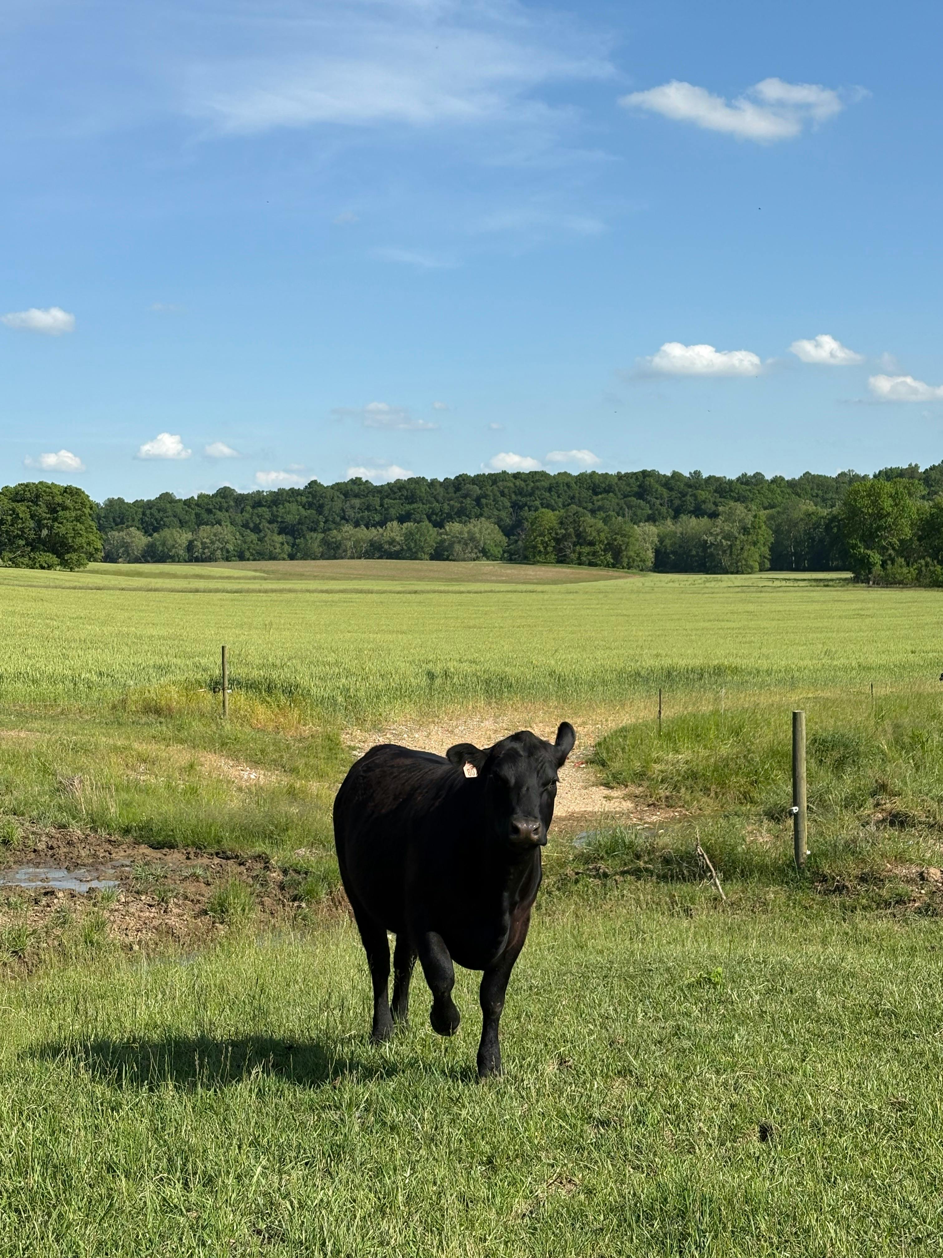 user avatar image for Martin Drury