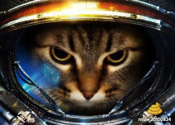 user avatar image for Schemu