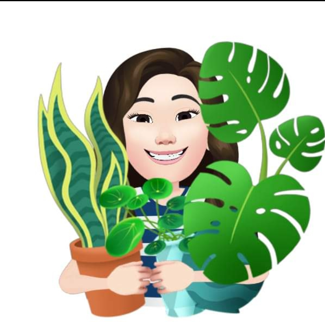 user avatar image for RaeofSunshine