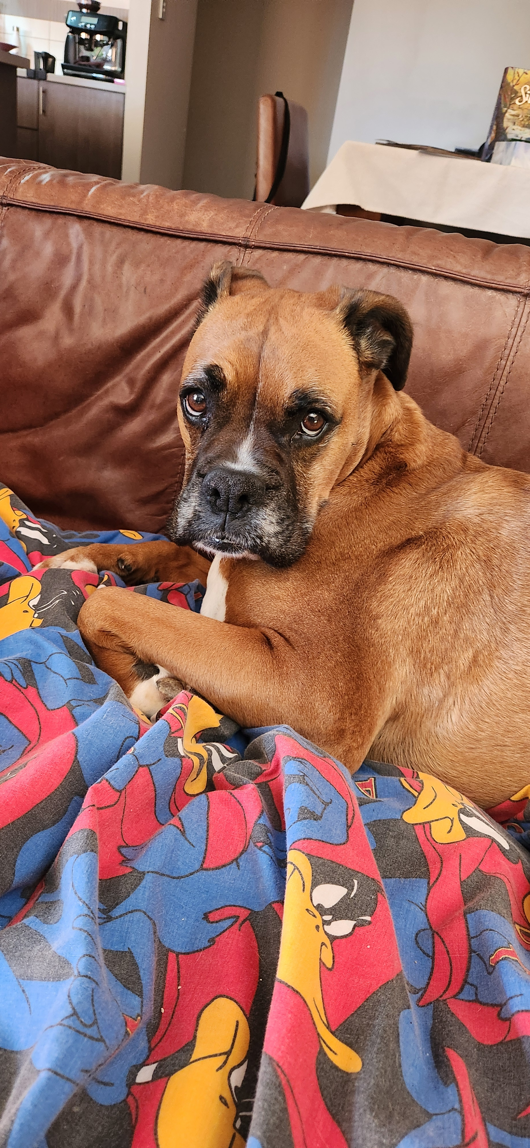 user avatar image for Tristan Thomas