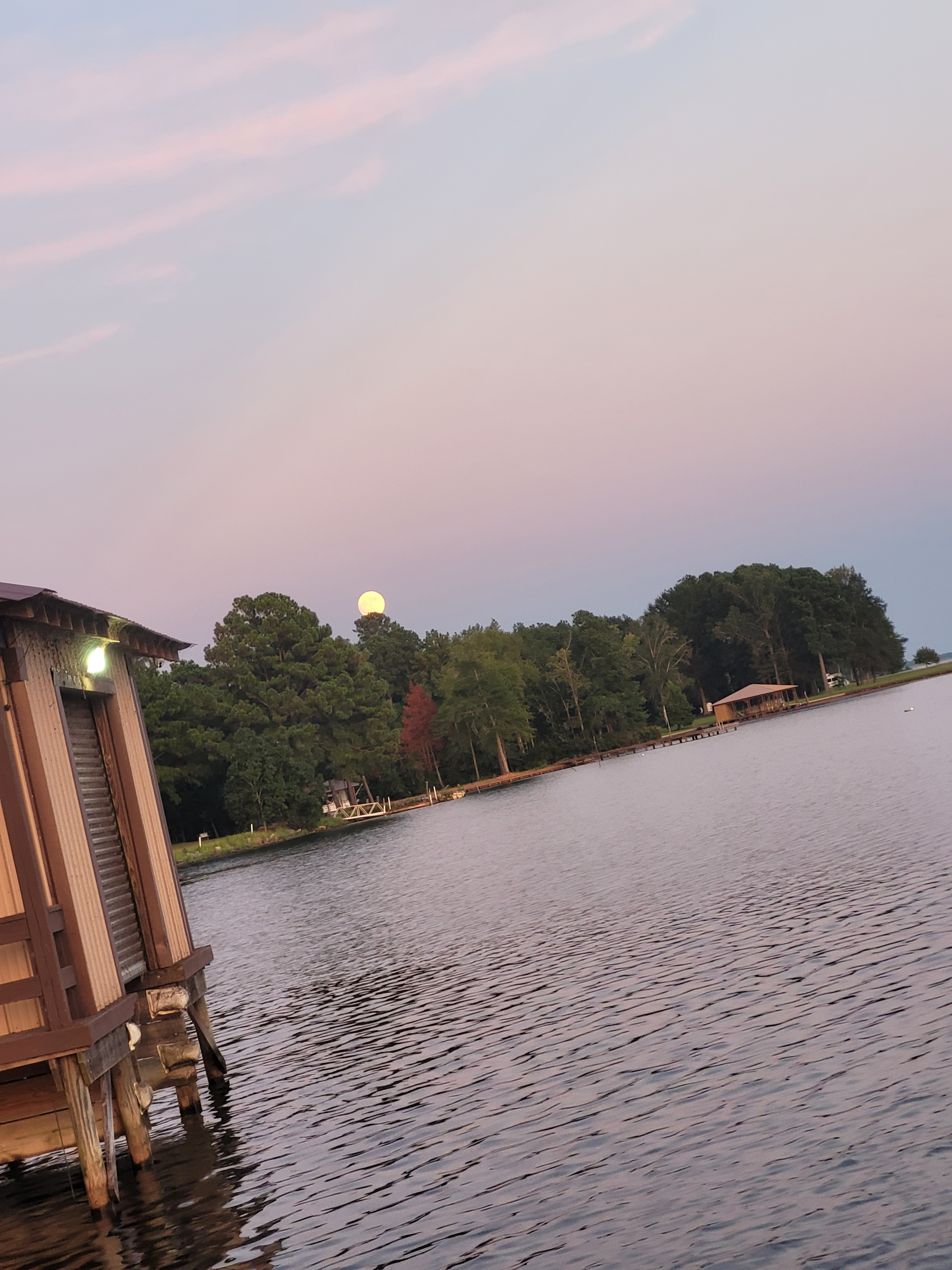 user avatar image for Danielle Tatum 