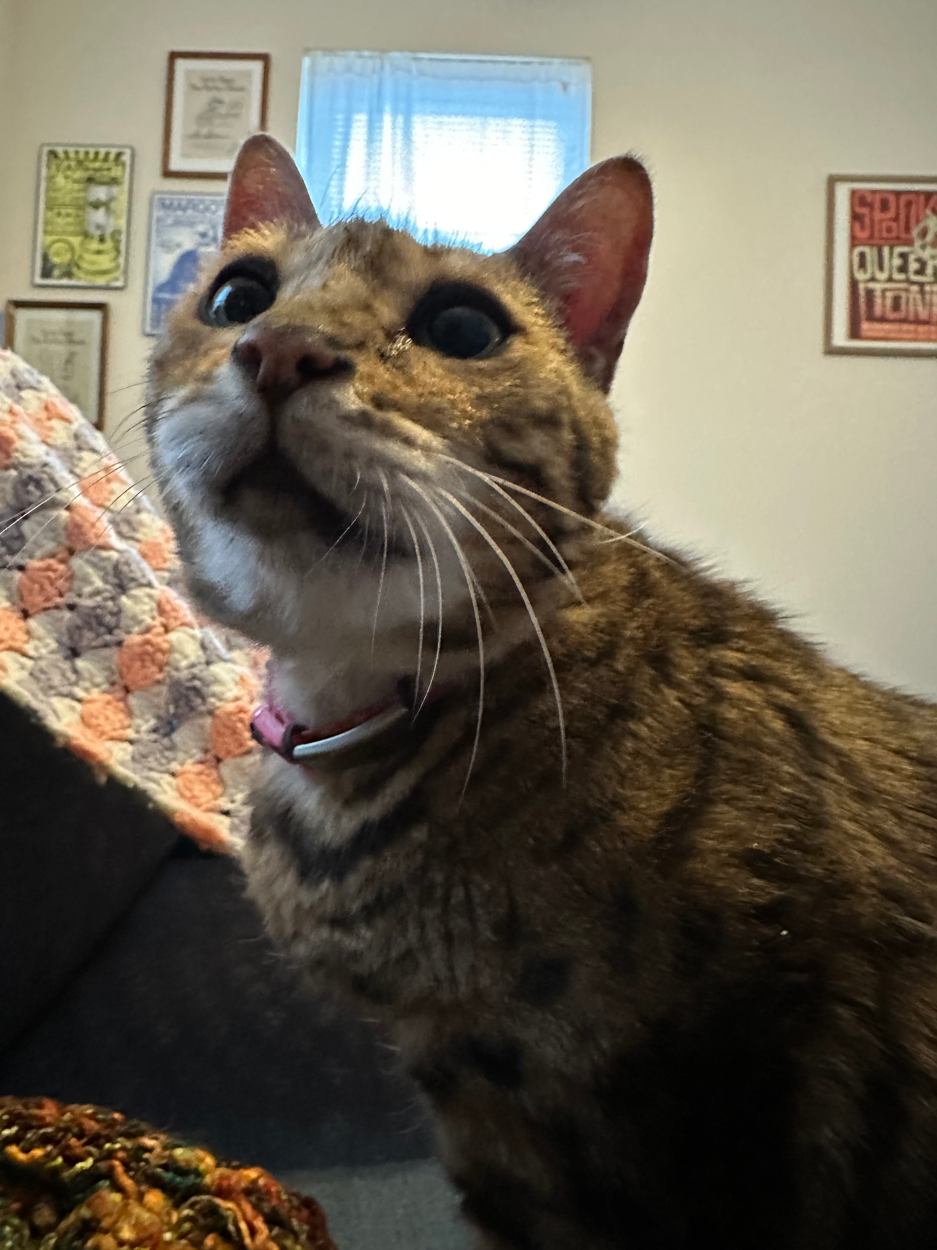 user avatar image for CT