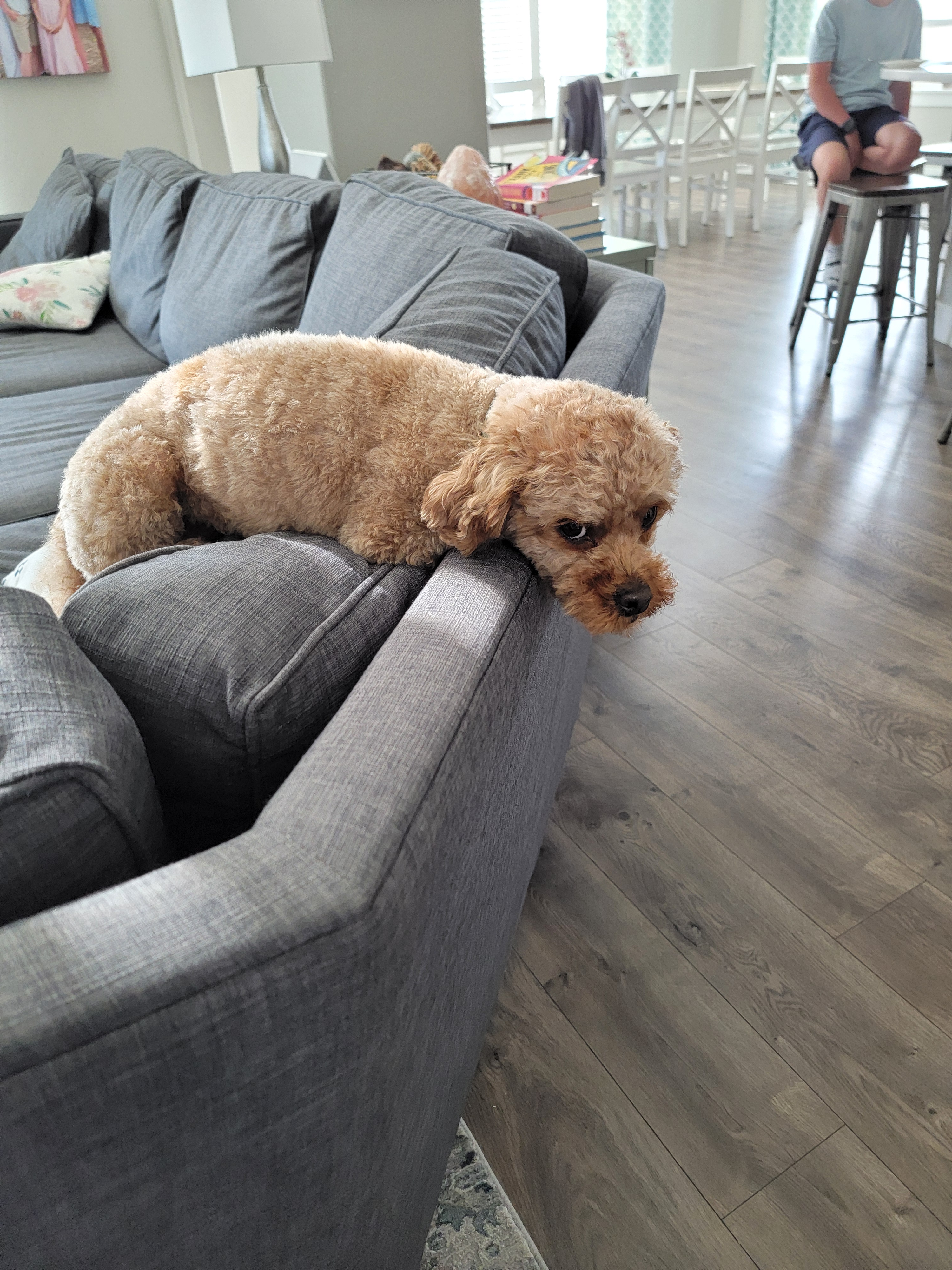 user avatar image for Delphi