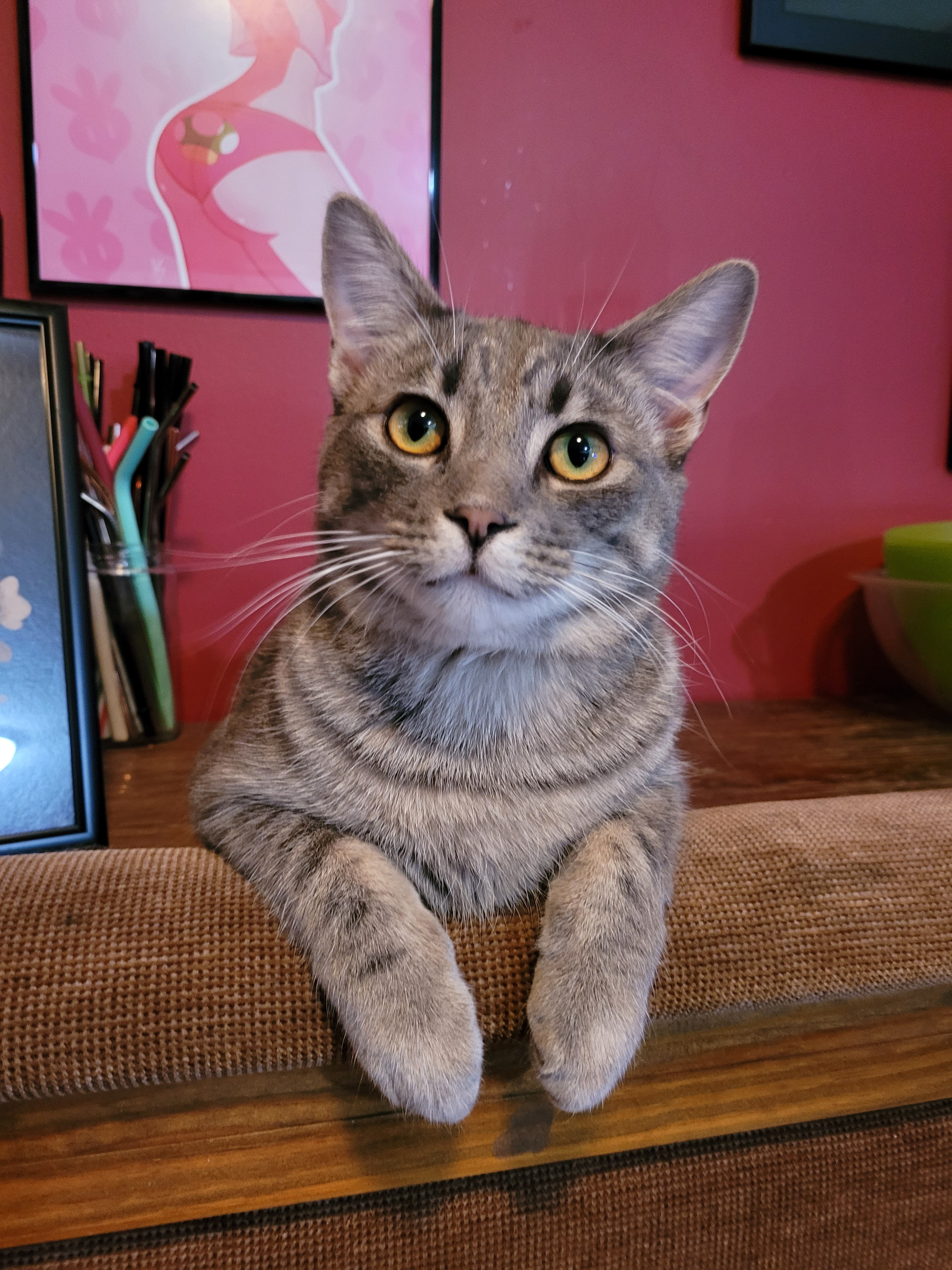 user avatar image for Sarah J