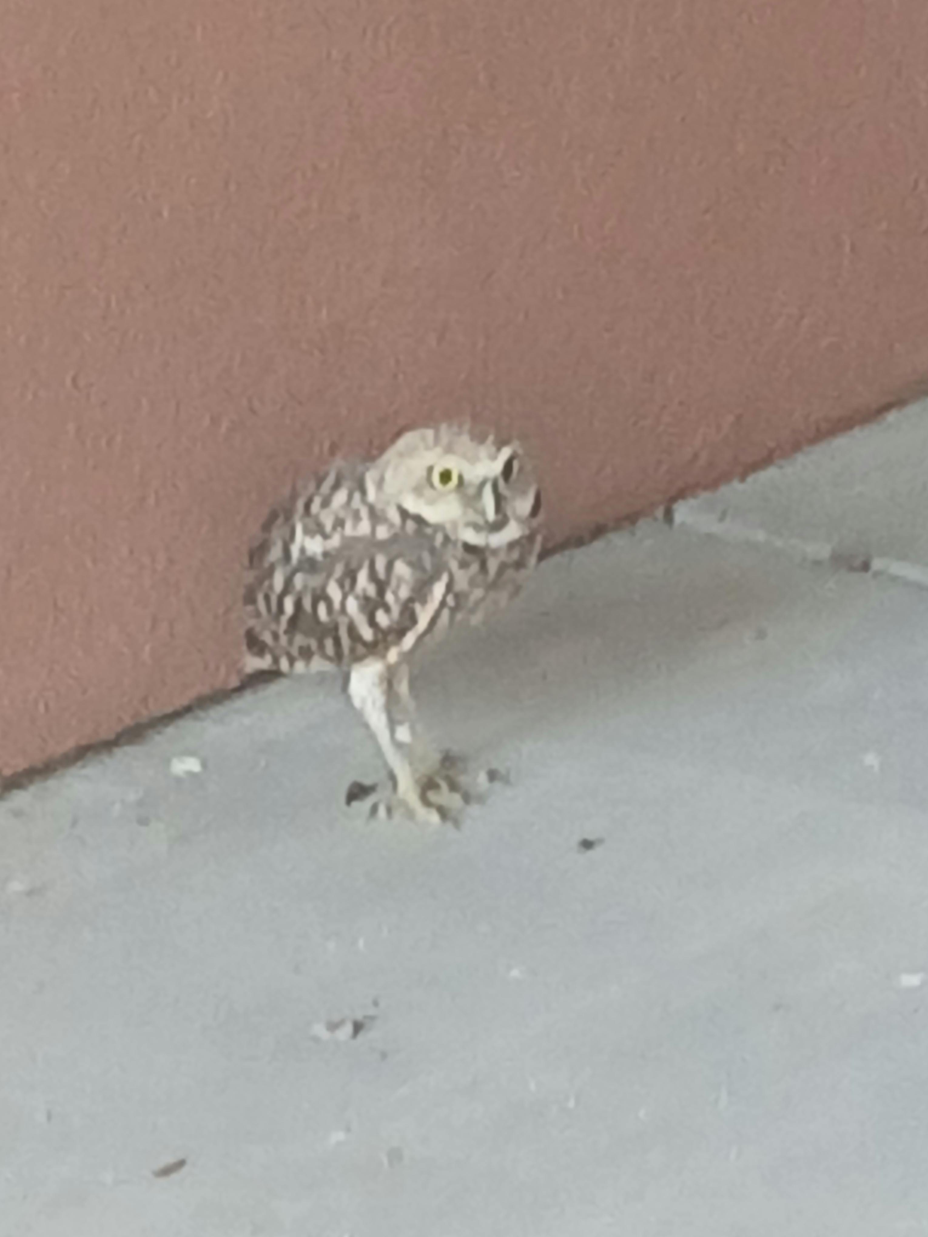 user avatar image for Peter Lukaszewski