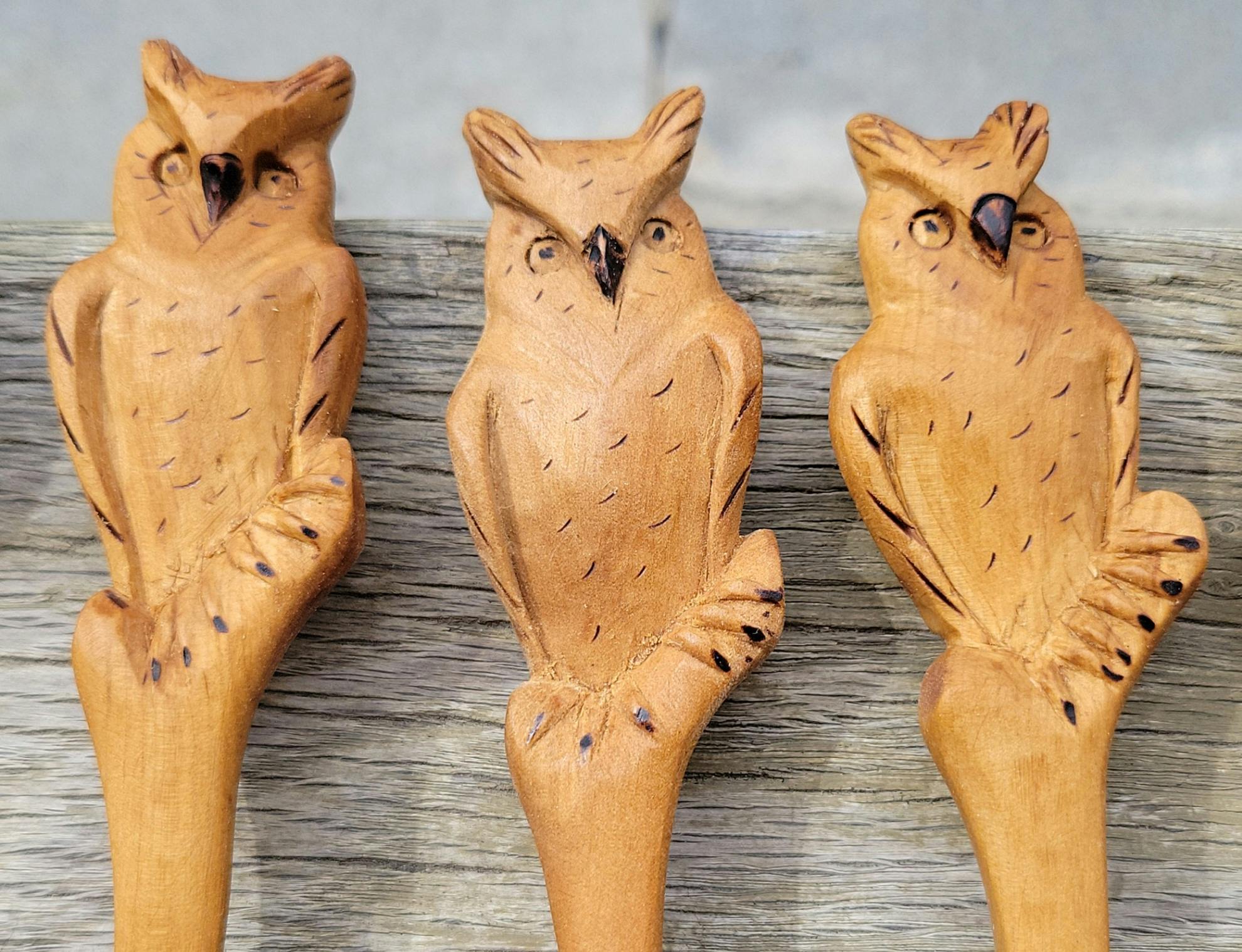 user avatar image for Owls & Friends
