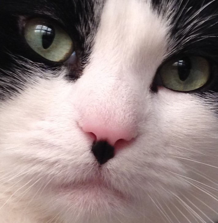 user avatar image for Desiree