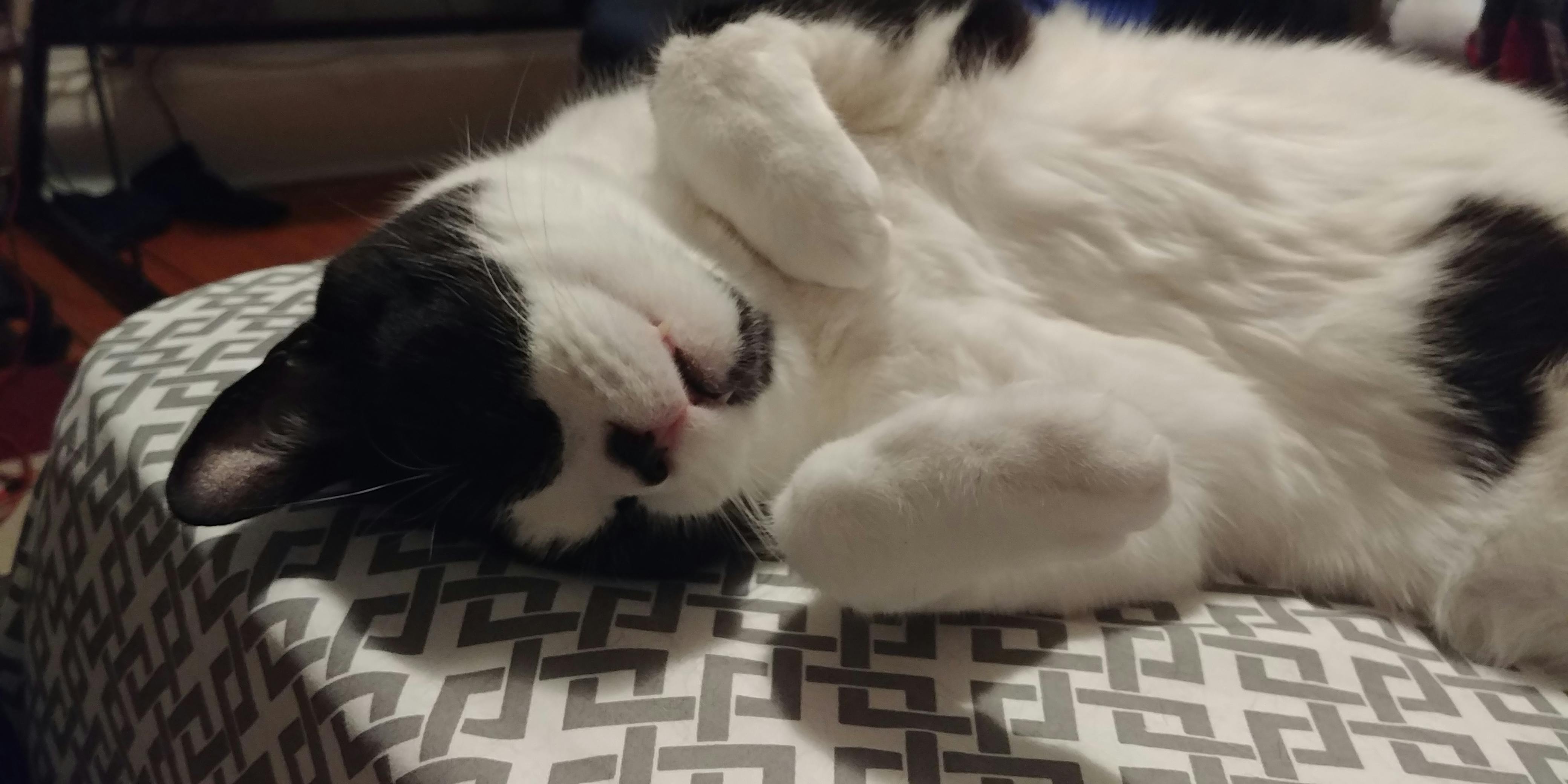 user avatar image for Jacob Connolly