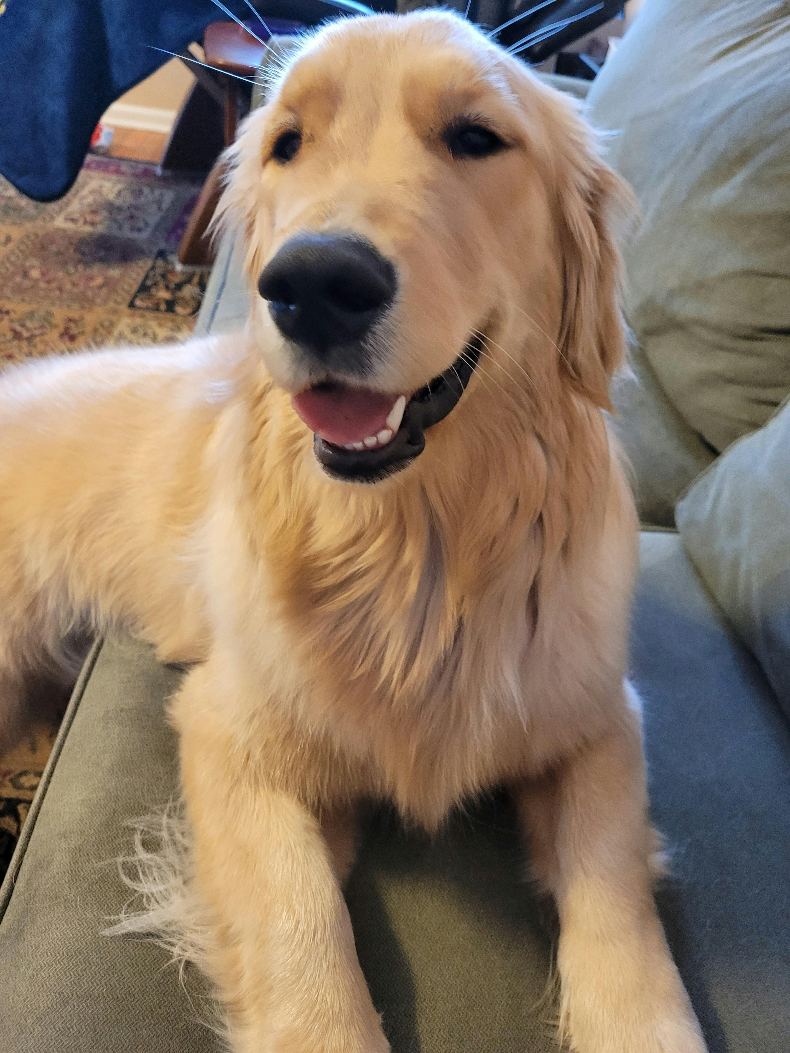 user avatar image for Knialator