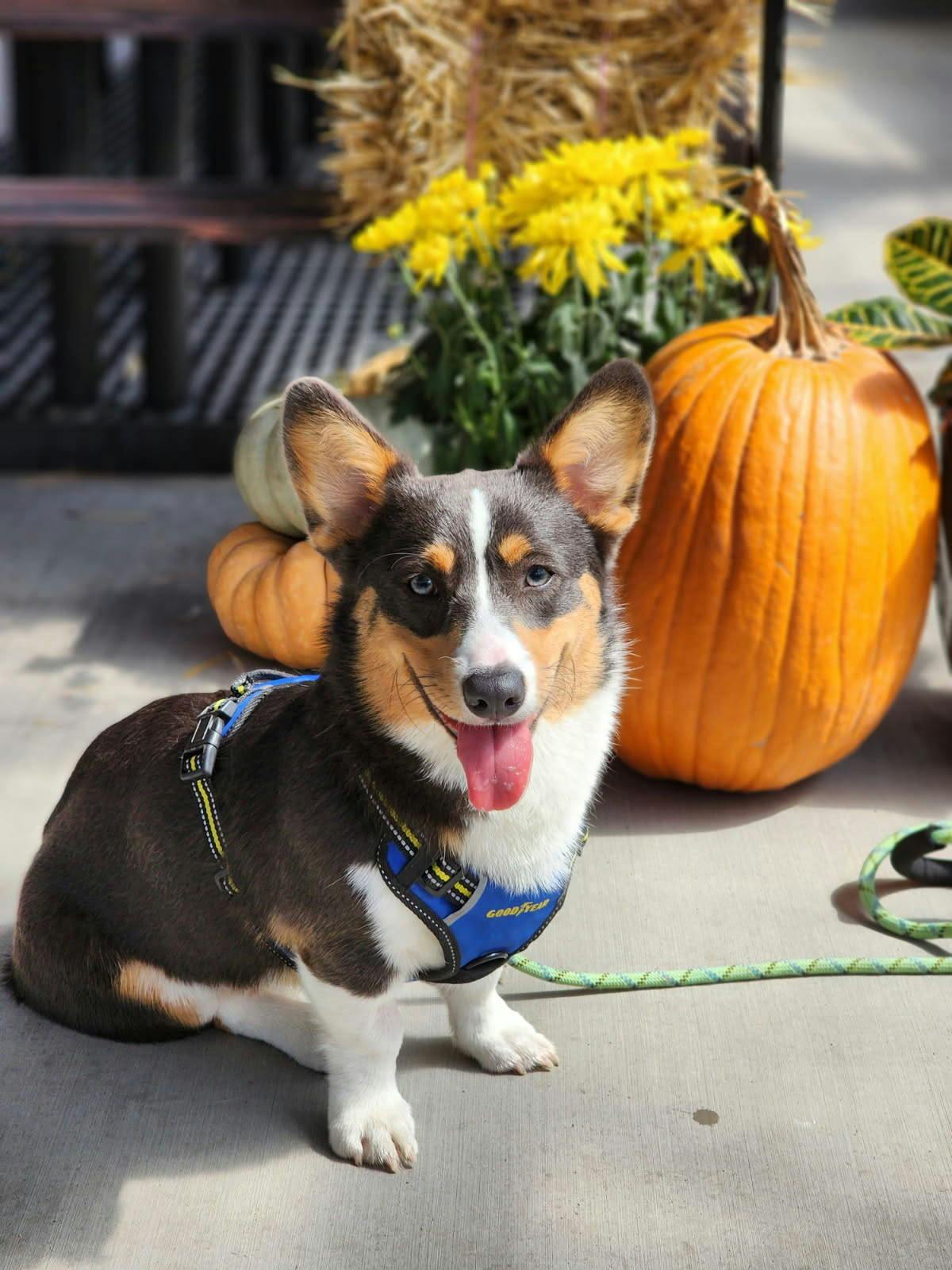 user avatar image for Ty H