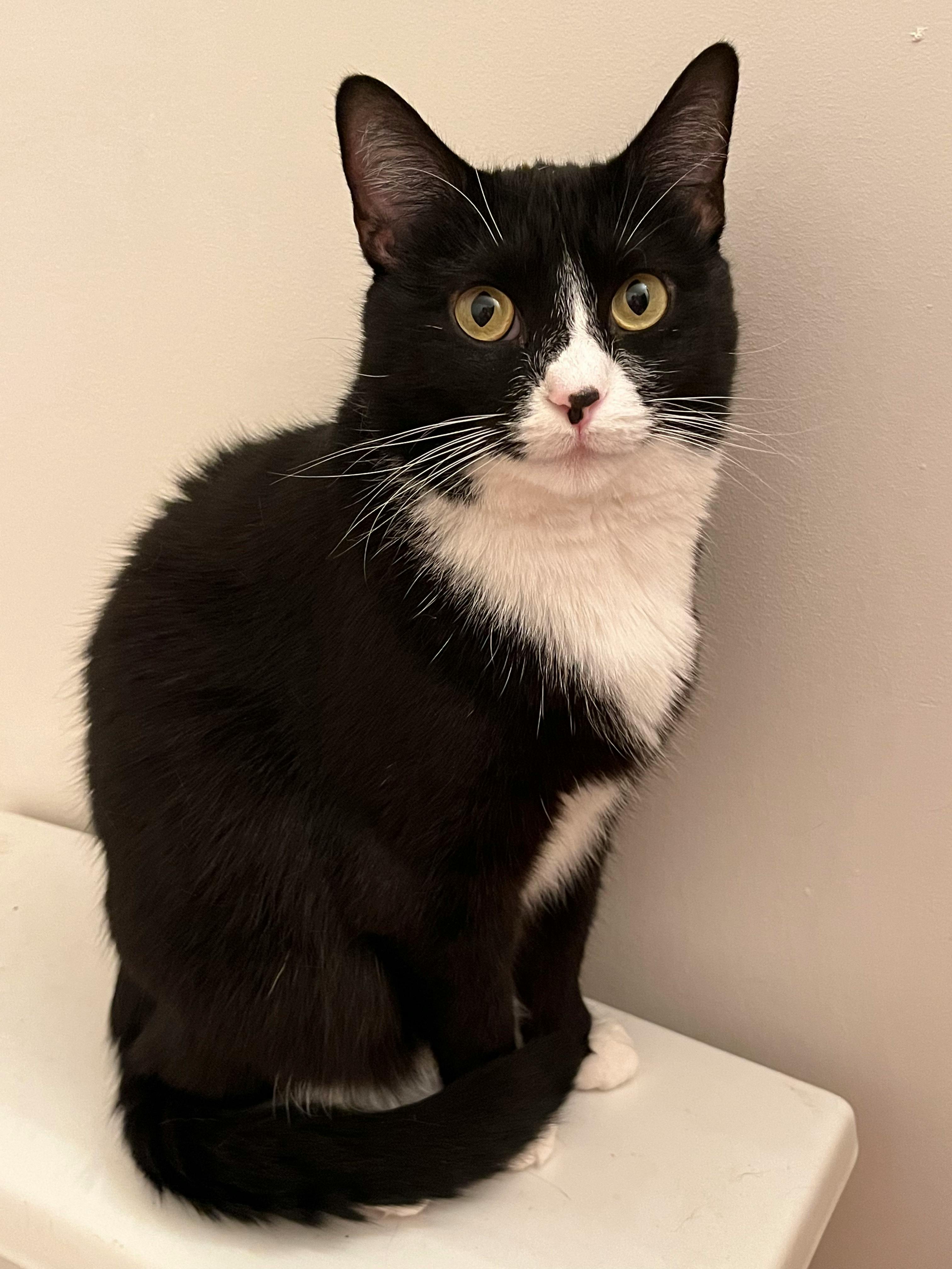 user avatar image for Fen