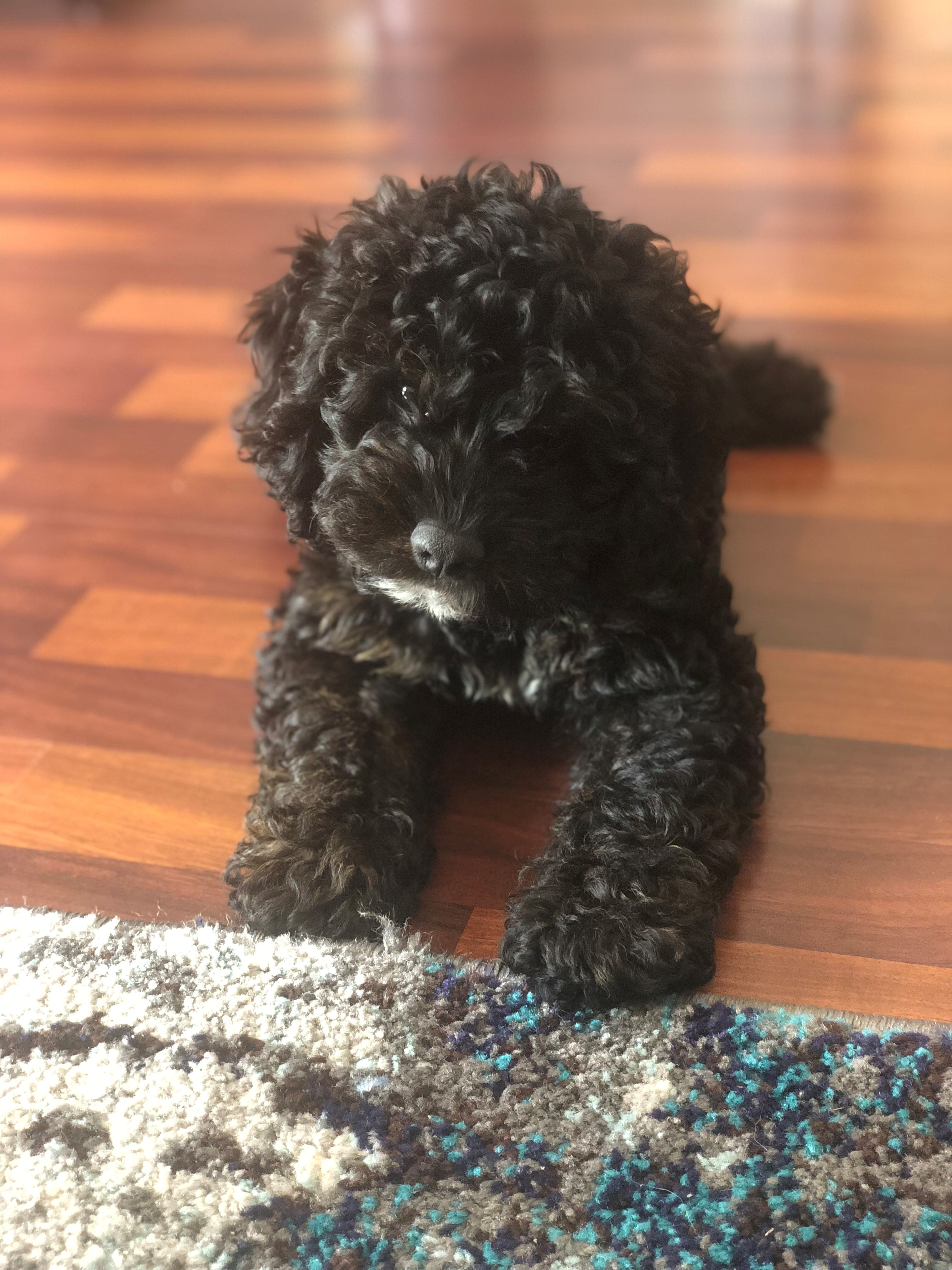 user avatar image for Kaley