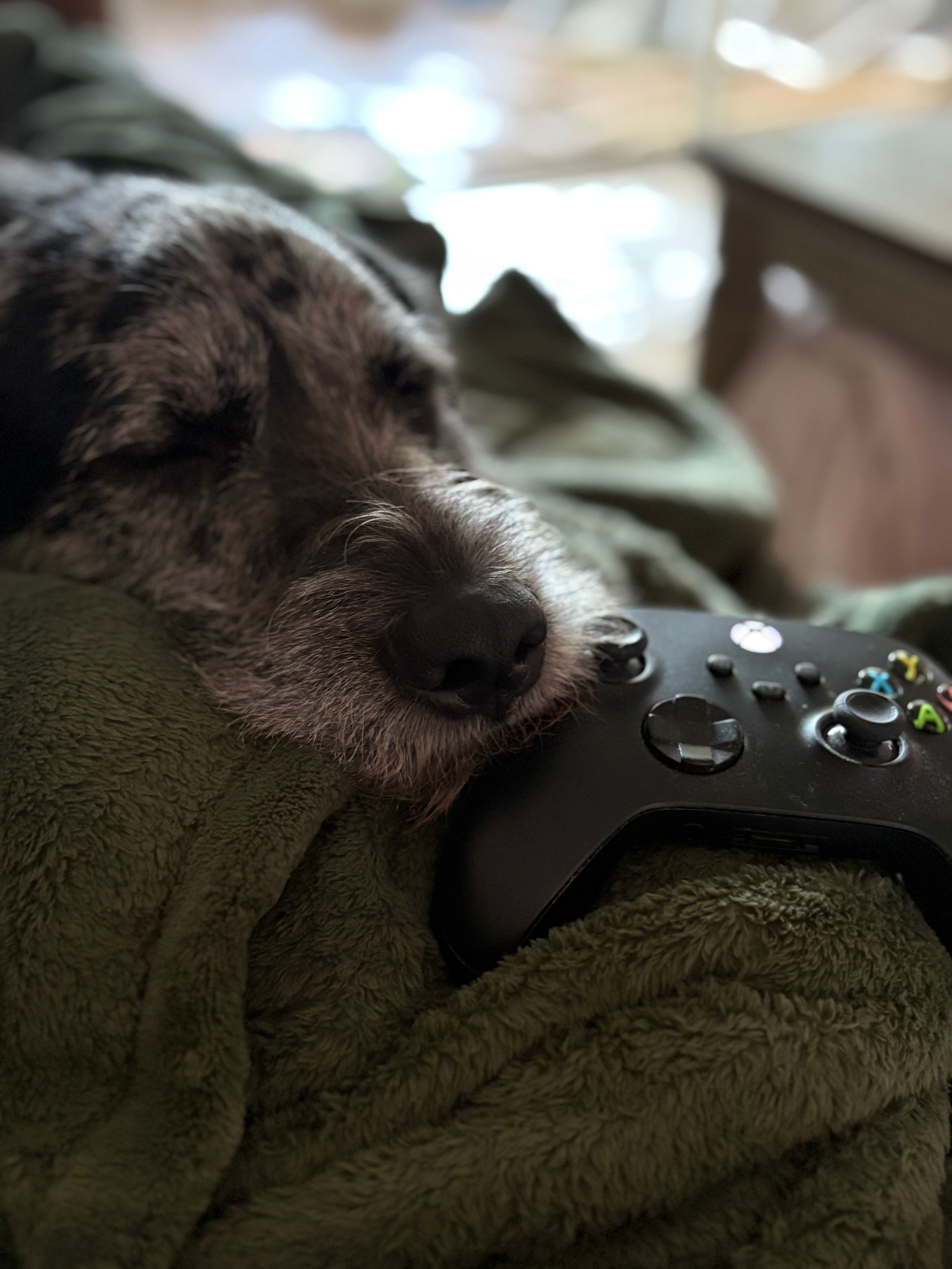 user avatar image for Jessica Meloy