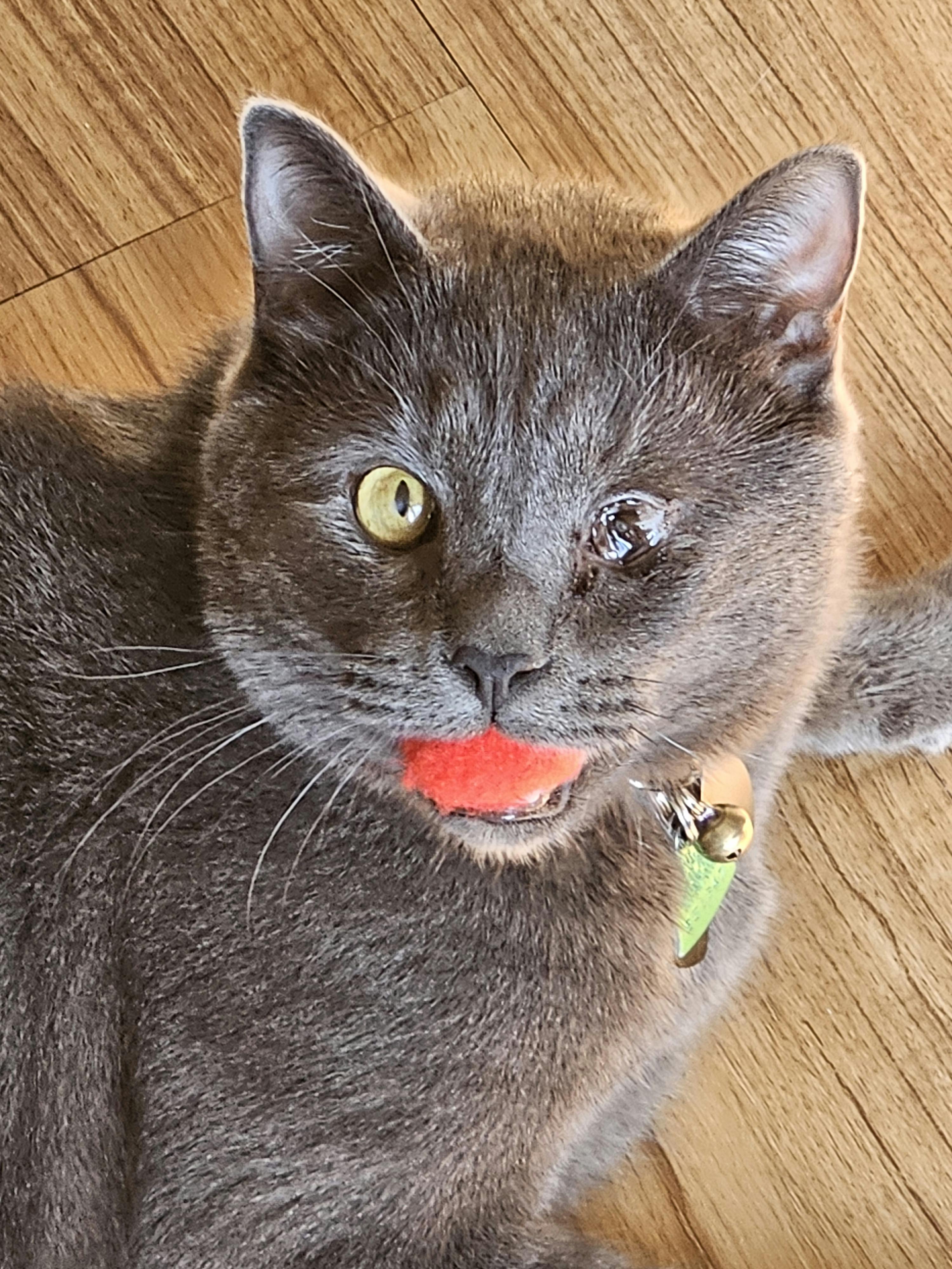 user avatar image for Guy