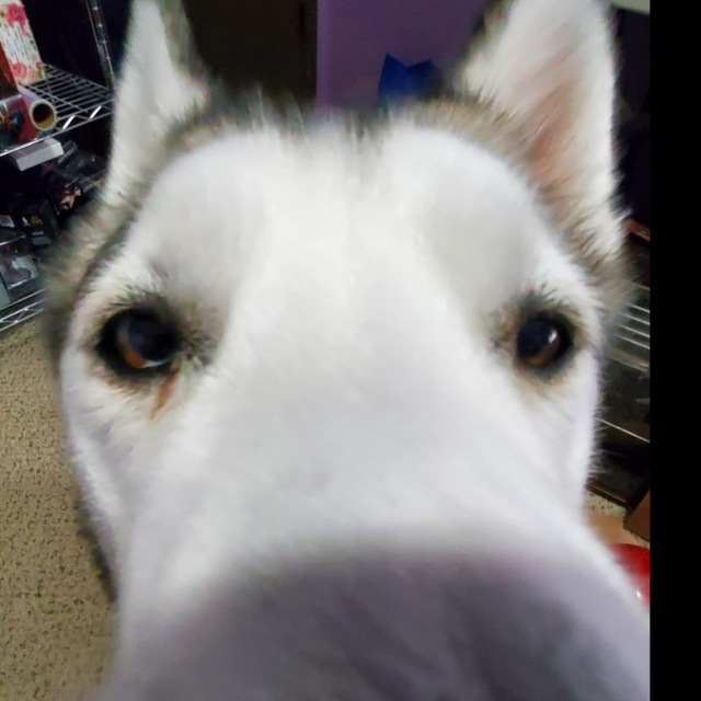 user avatar image for WarbossCurb