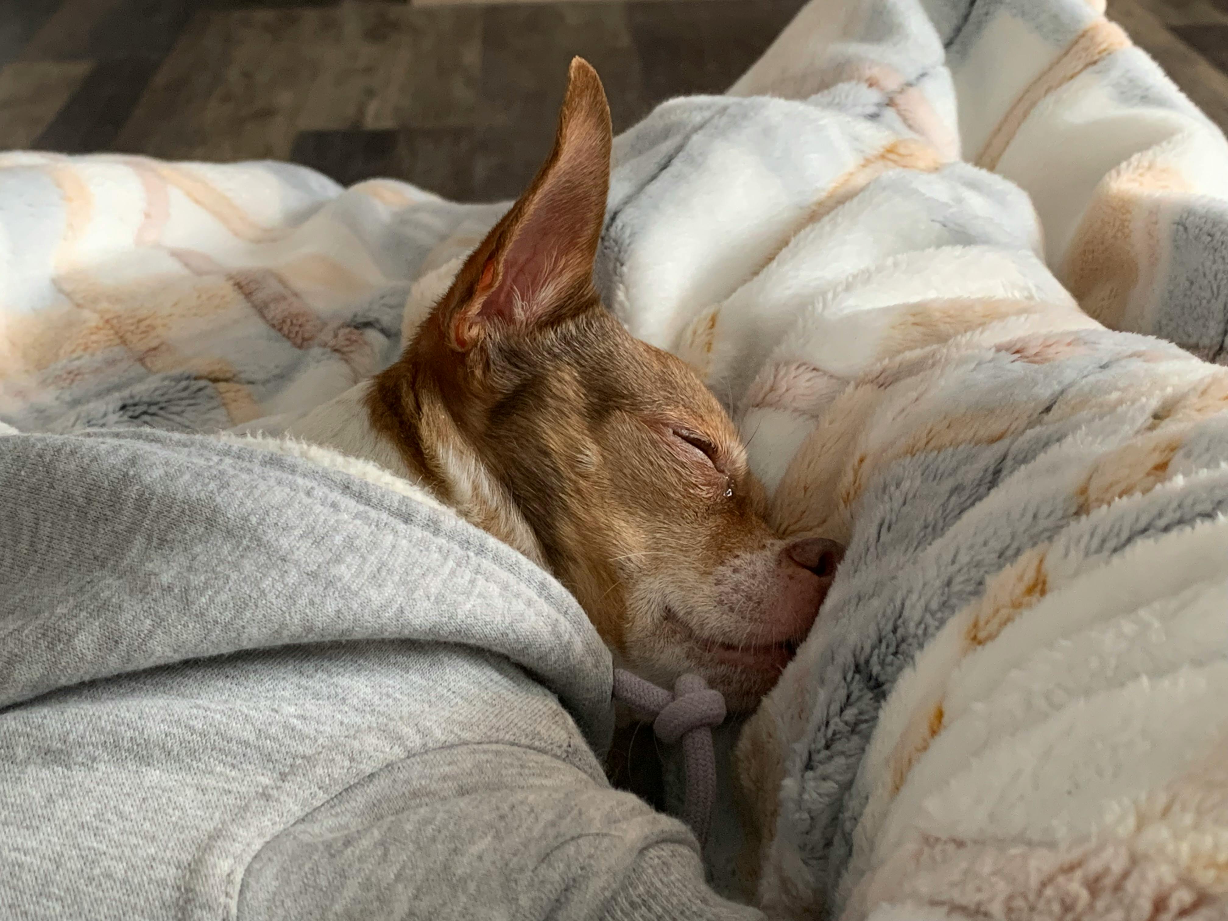 user avatar image for Kaitlyn