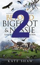 Small Mysteries ebook