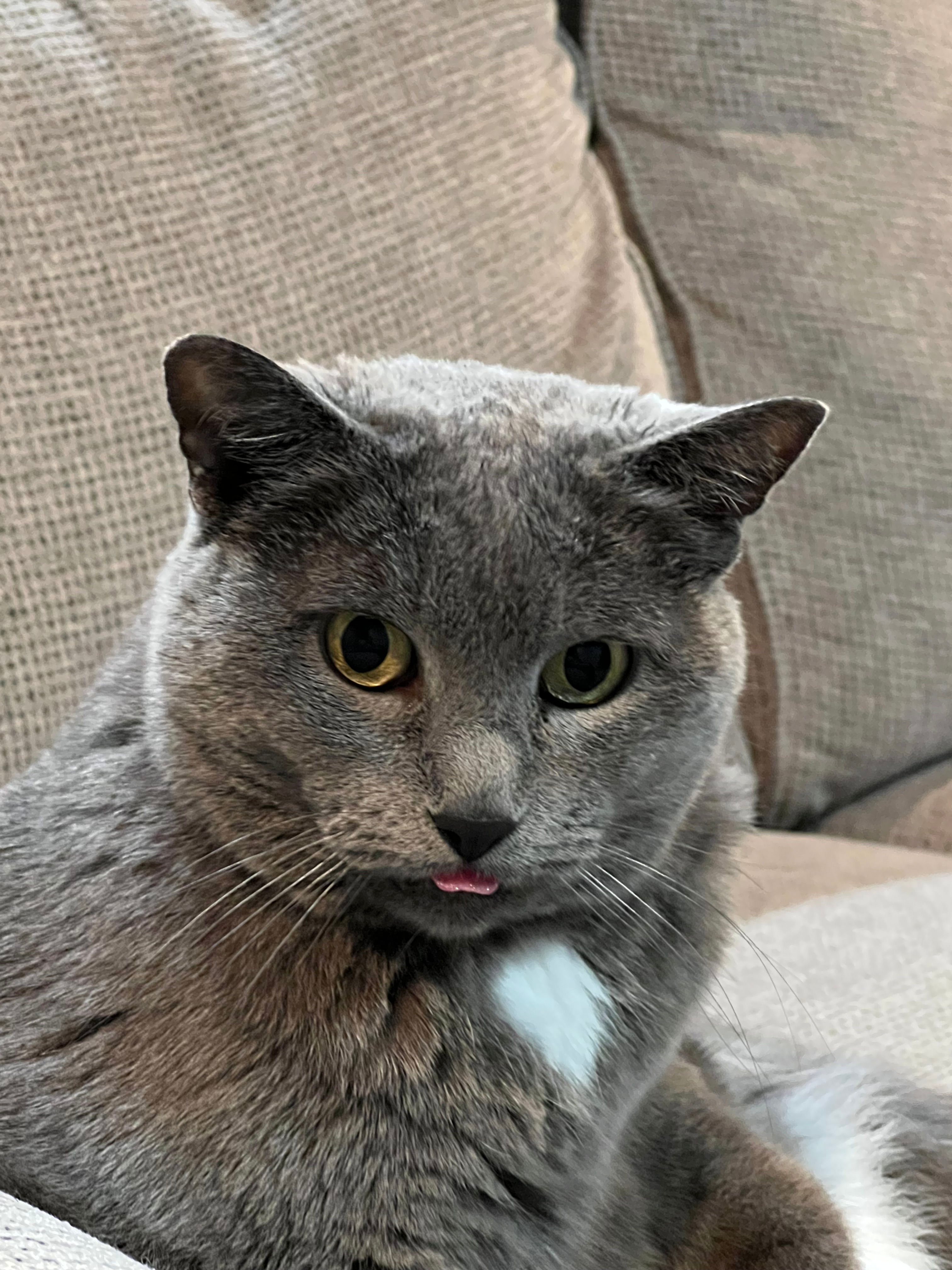 user avatar image for Eliska 