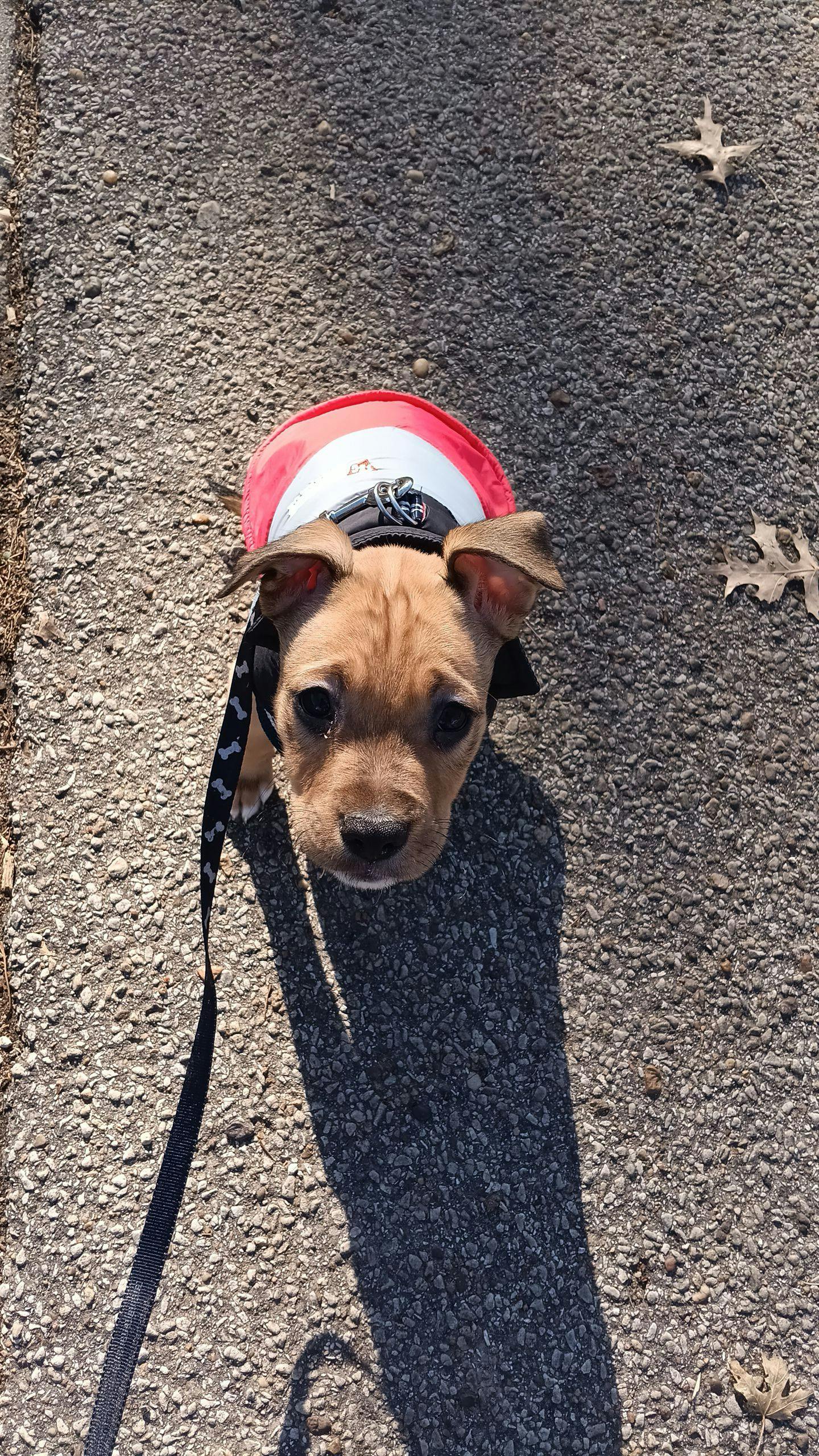 user avatar image for Vanessa Shaffer