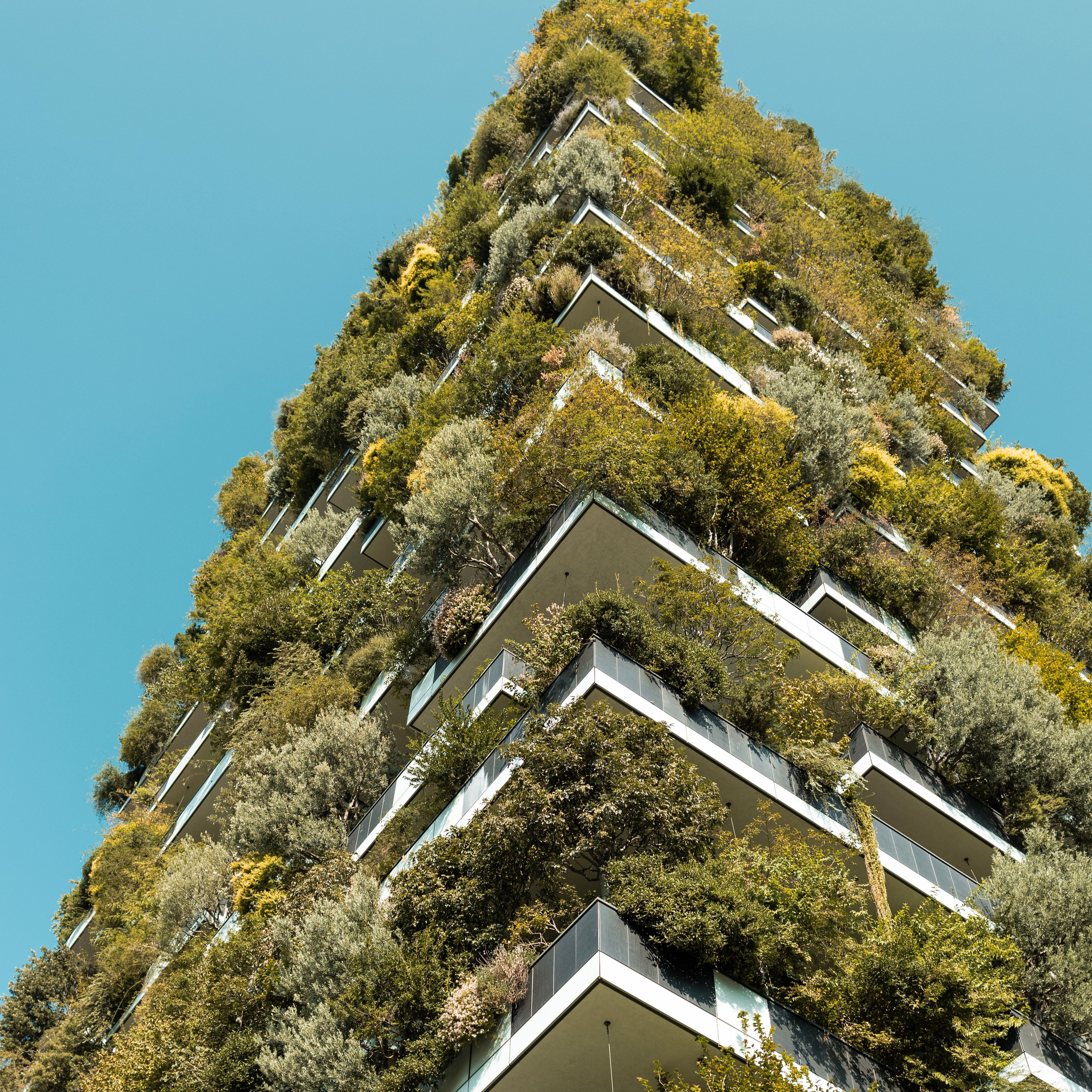 Ecopunk