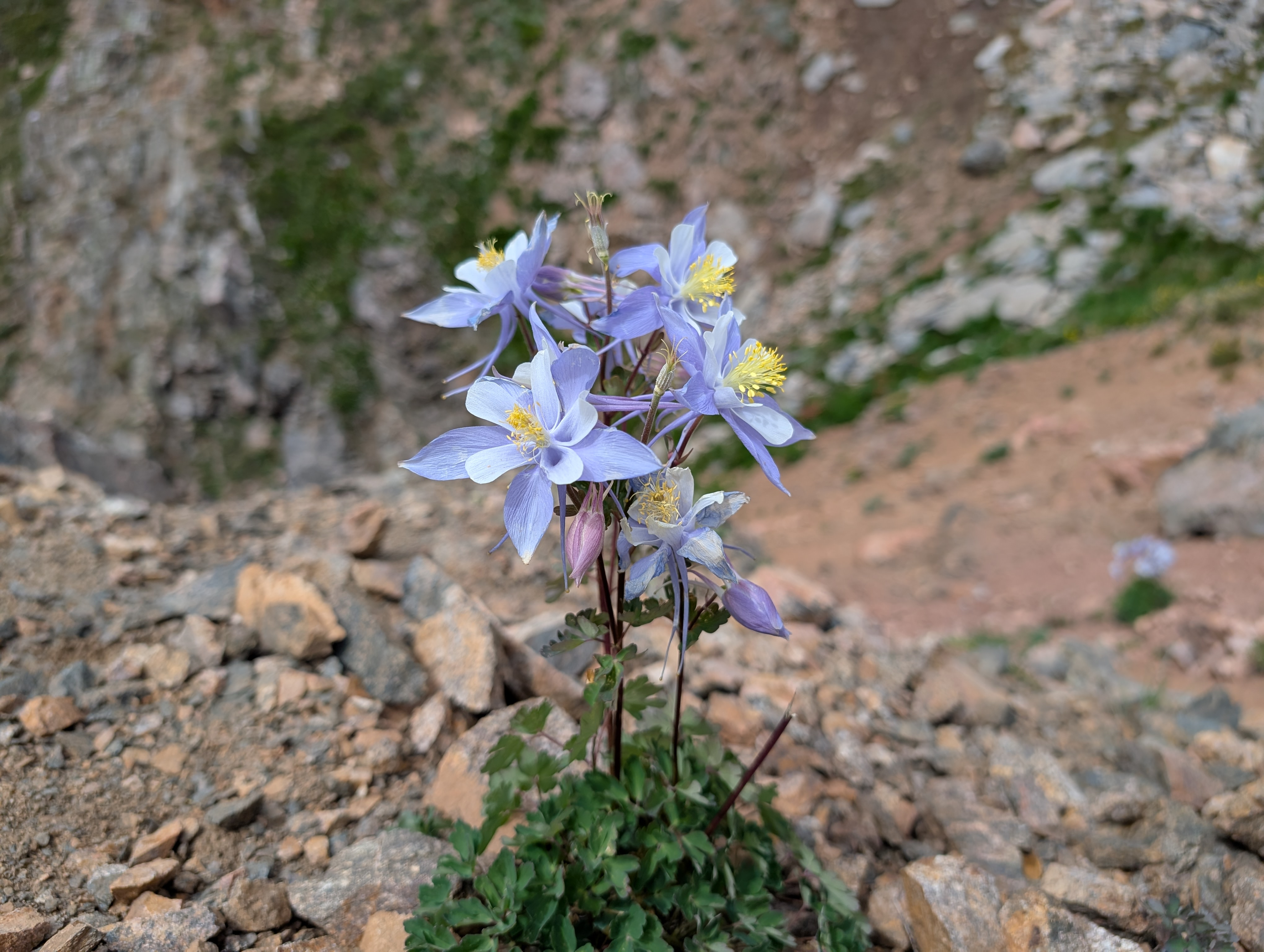 user avatar image for Jessica Slaine