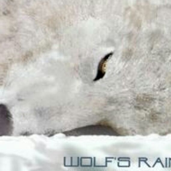 user avatar image for Kenrou