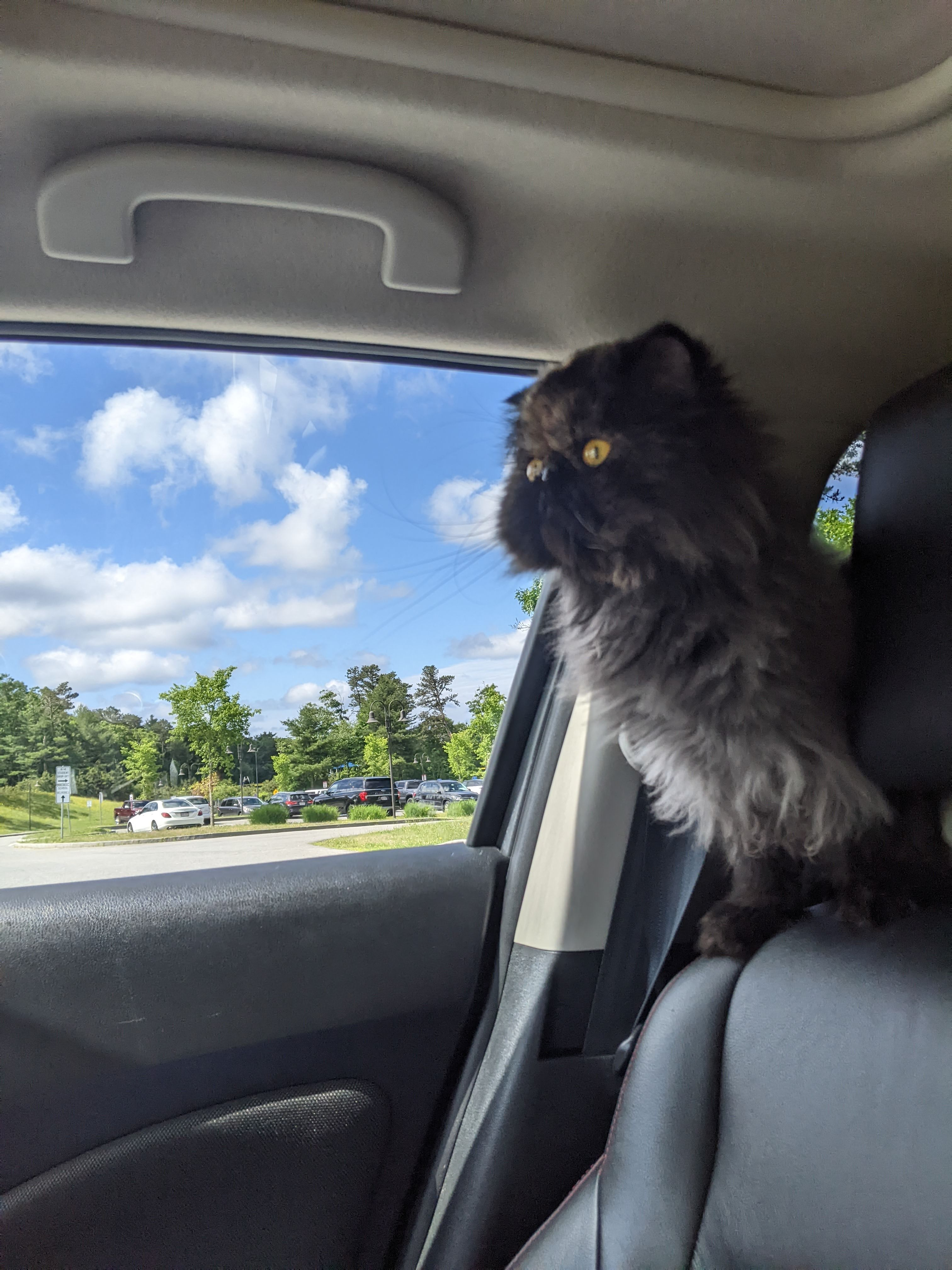 user avatar image for Dan