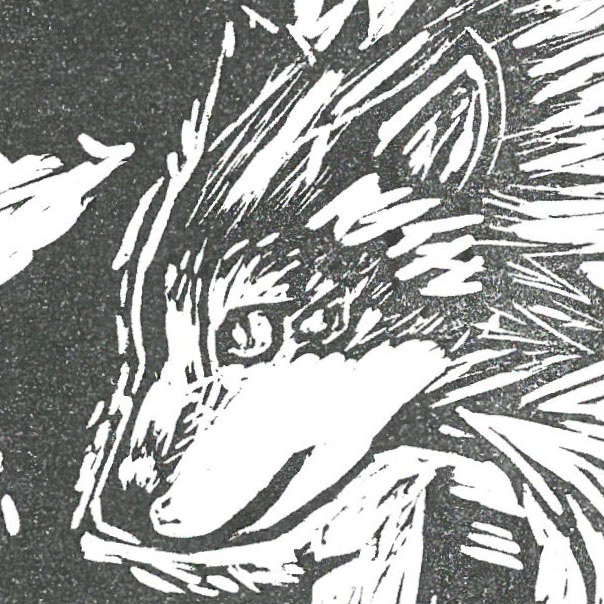 user avatar image for RunningWild