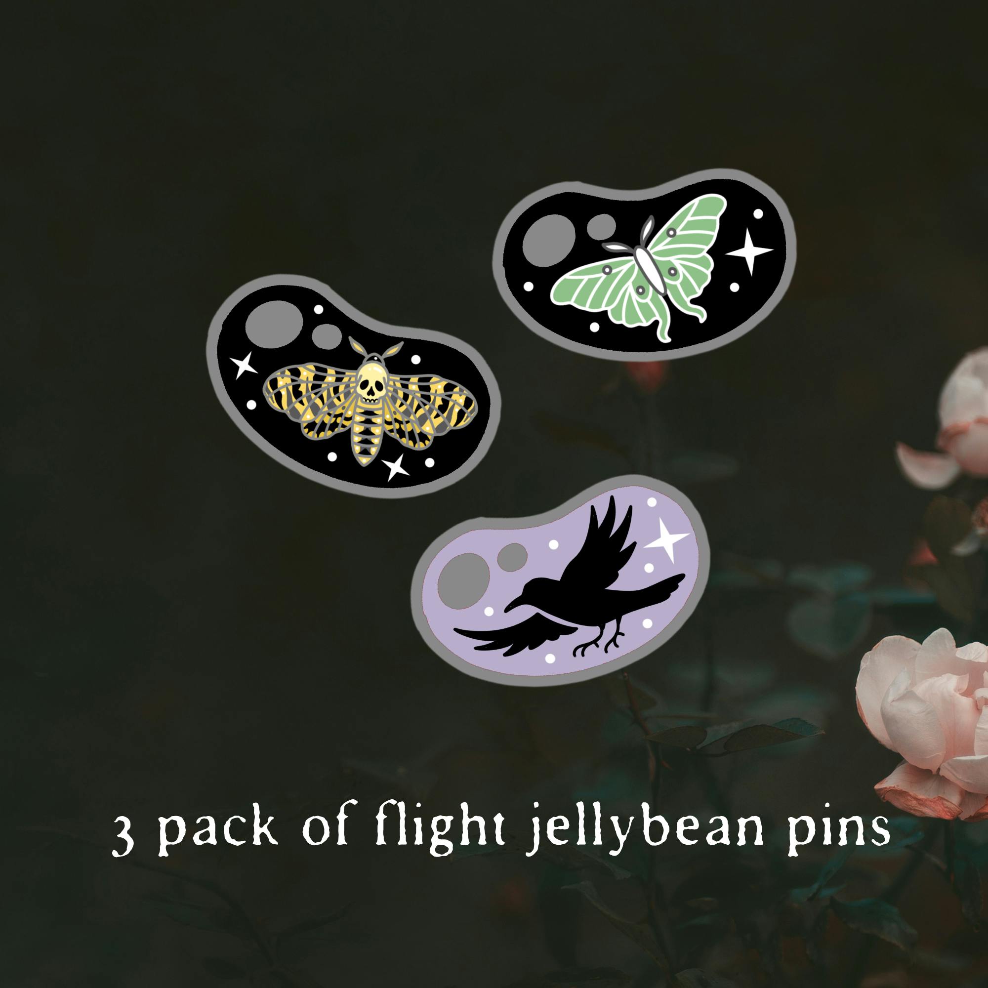 Jellybean 3 pin flight set 
