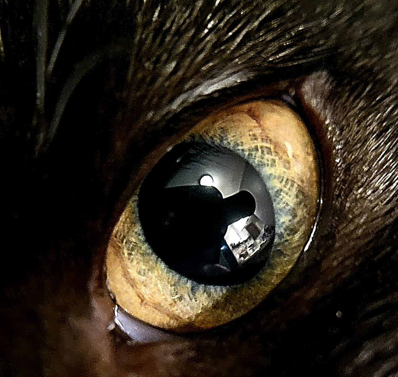 user avatar image for Stephanie