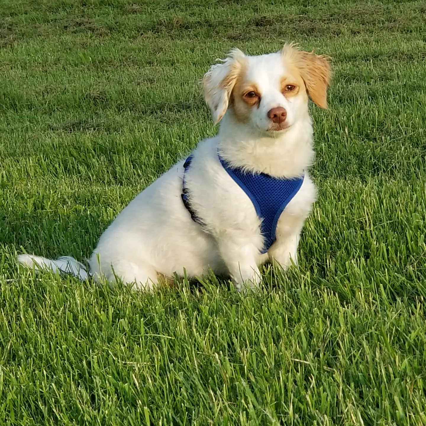 user avatar image for Skitsopixi