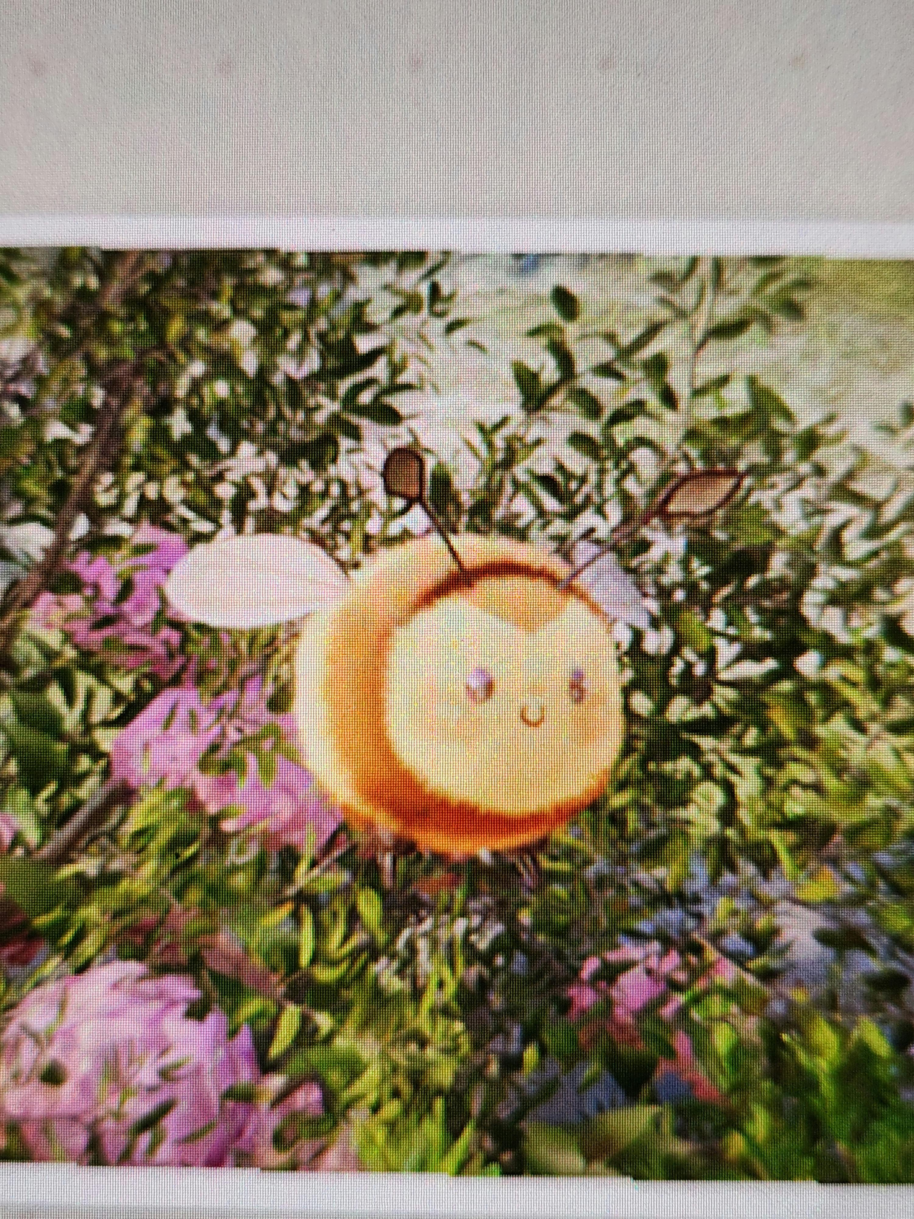 user avatar image for david battencourt