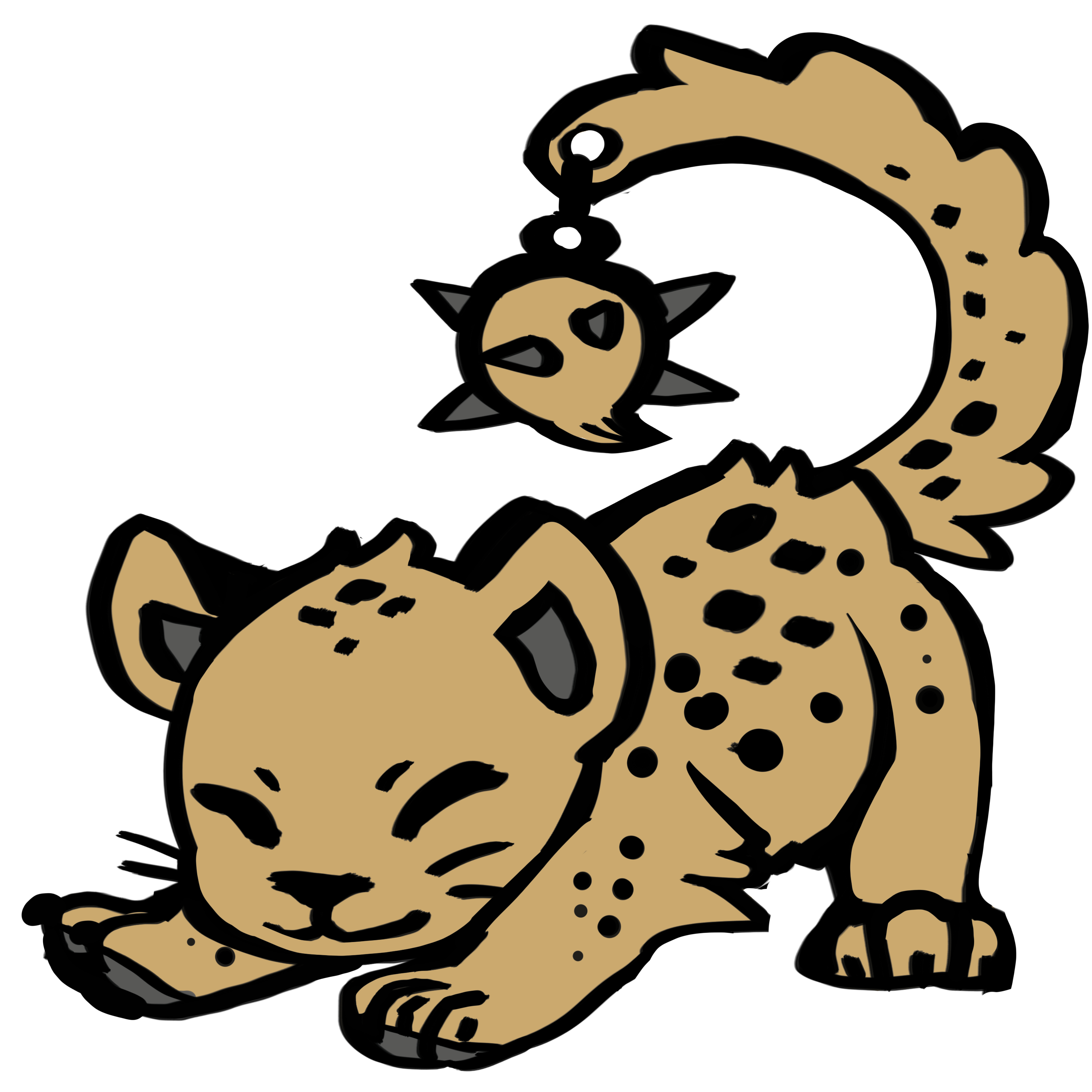 Ball-Tailed Cat