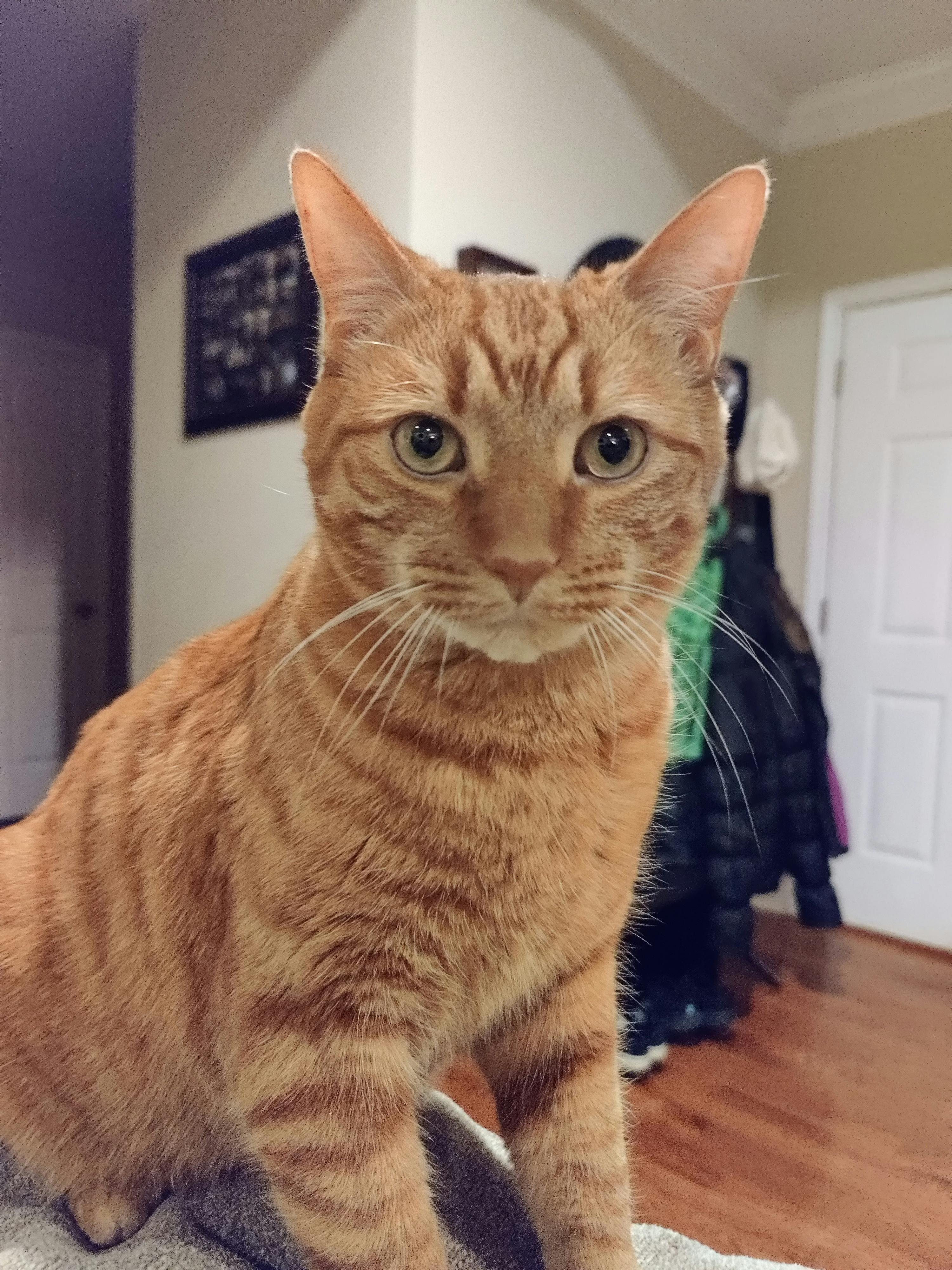 user avatar image for Kalcemo