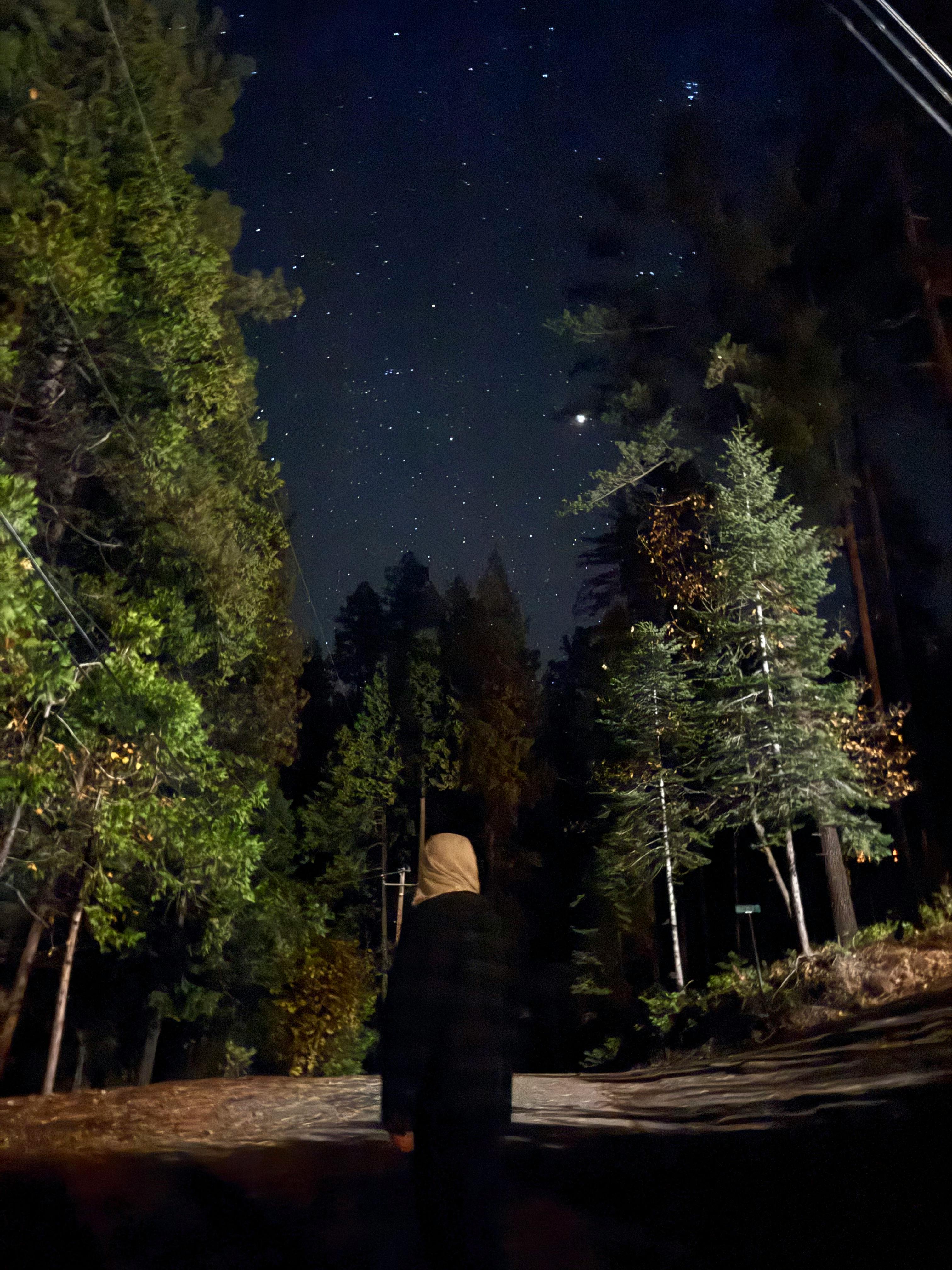 user avatar image for Bobby J