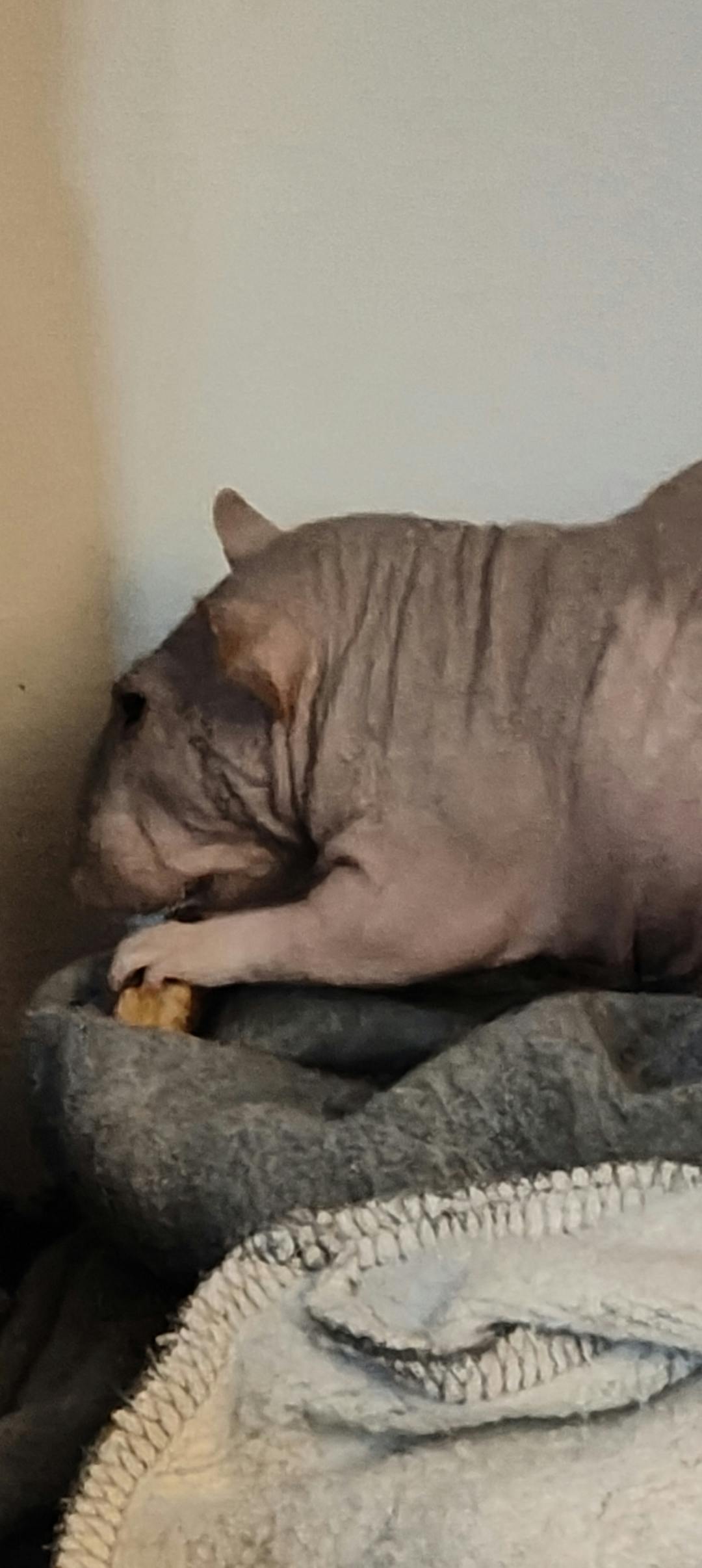 user avatar image for Jason M