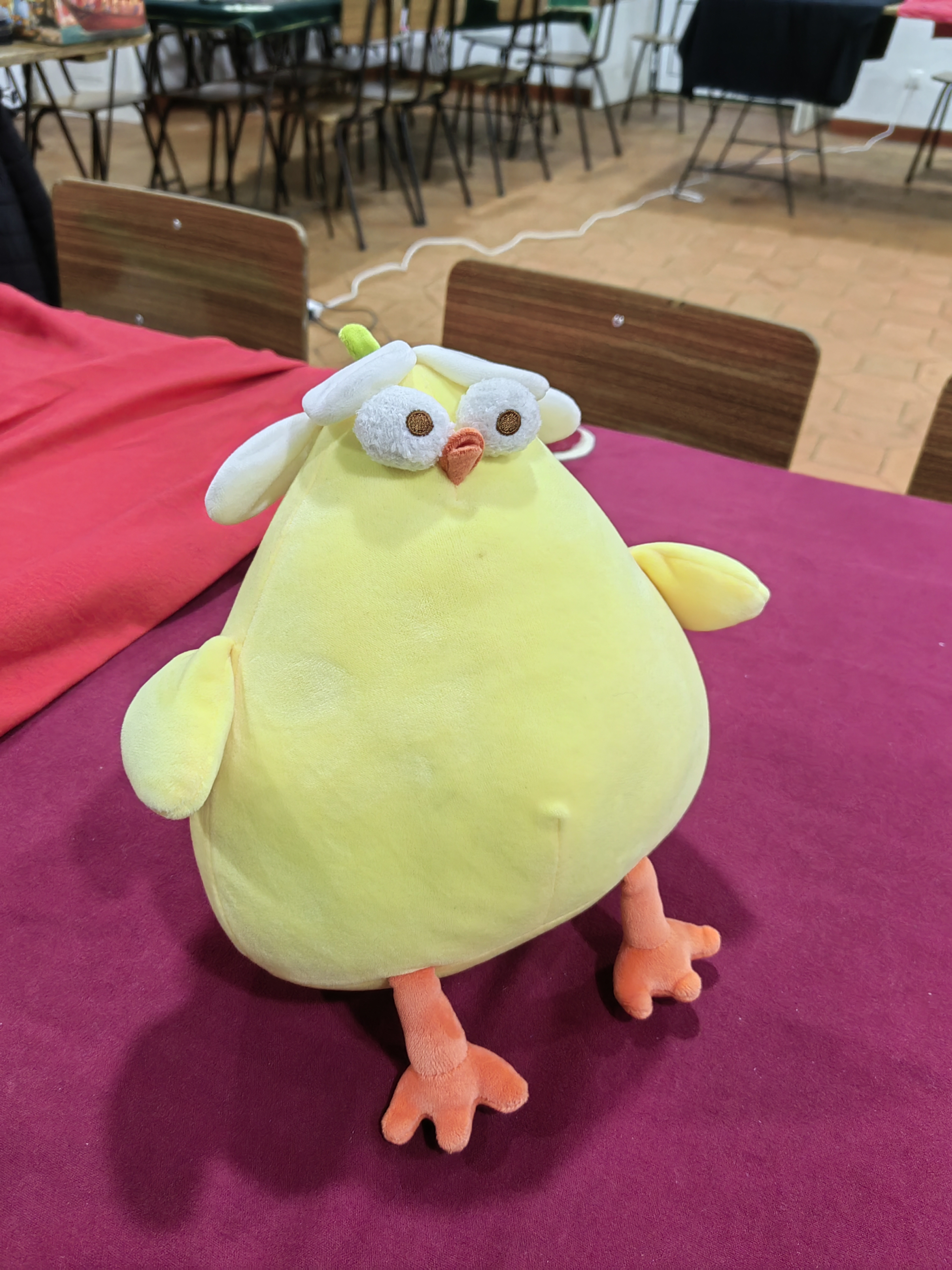 user avatar image for Paula Coimbra